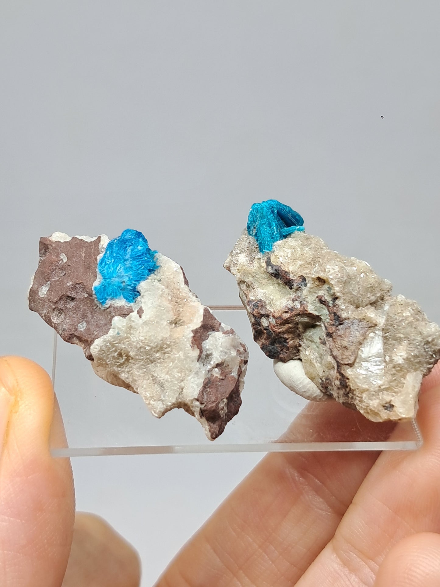 Set of Cavansite & Pentagonite on Matrix (Wagholi) Rough Stone | Natural Crystal | Rare Mineral Specimen #CV42