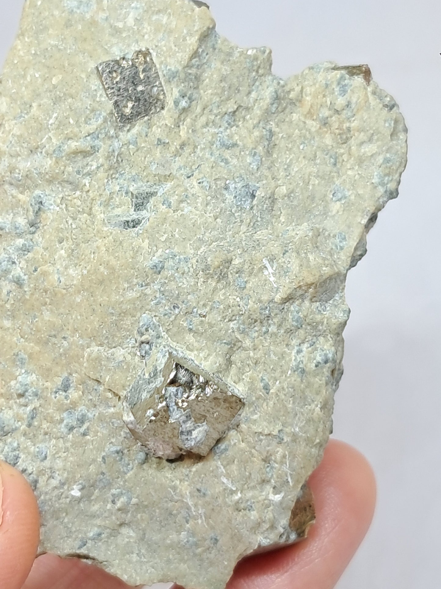 Cubos de pirita en matriz (España) Cristal natural | Ejemplar mineral n.° PR15
