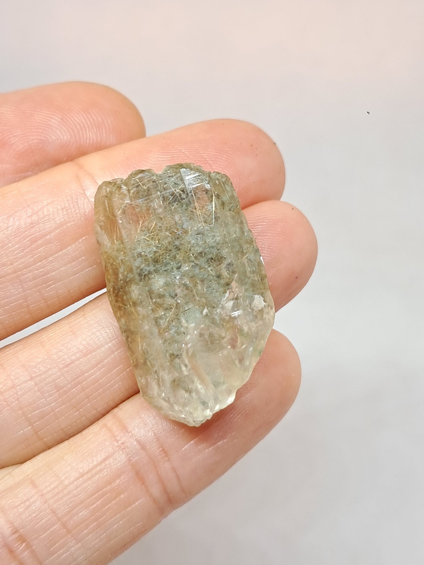 Quartz w/ Chlorite and Golden Rutile Inclusions (Kullu) Rough Stone | Natural Crystal Point | Mineral Specimen #CH45