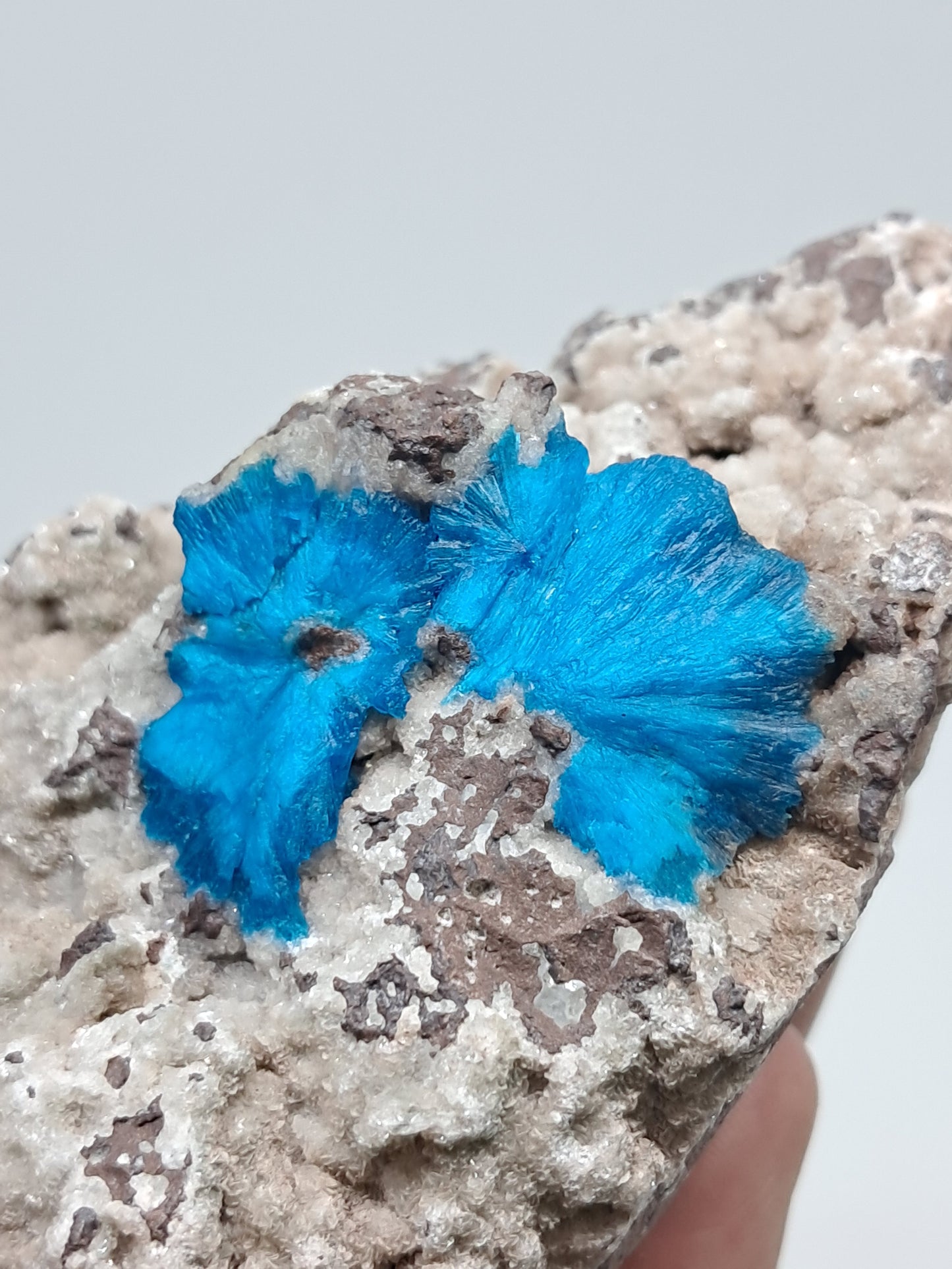 Cavansite on Heulandite Matrix (Wagholi) Rough Stone | Natural Crystal | Rare Mineral Specimen #CV33