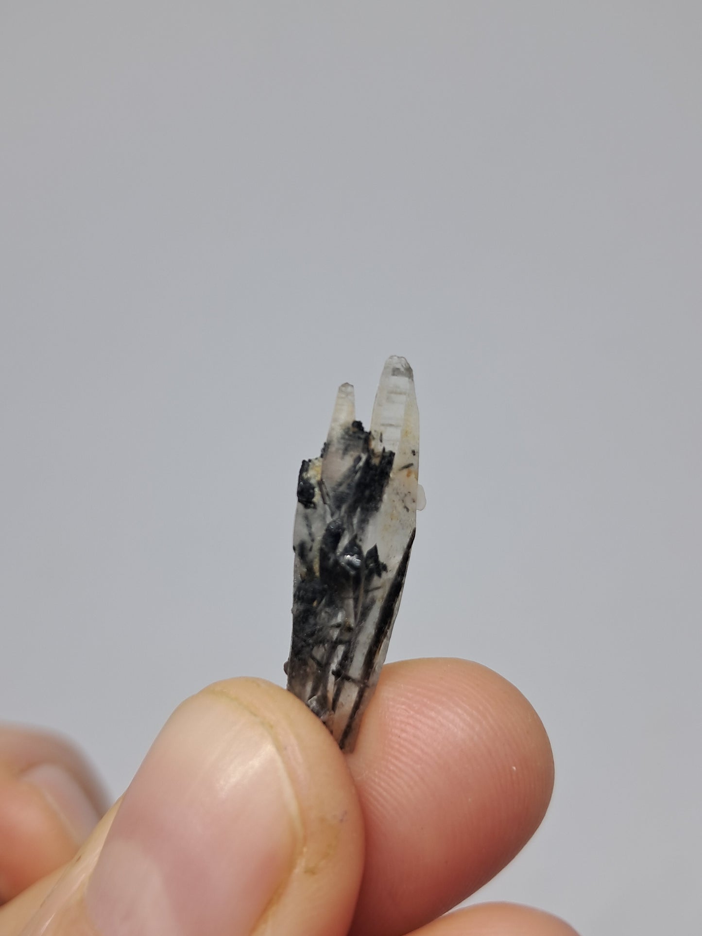 Set of 5 Tourmalinated Quartz - natural crystal points #TQ15