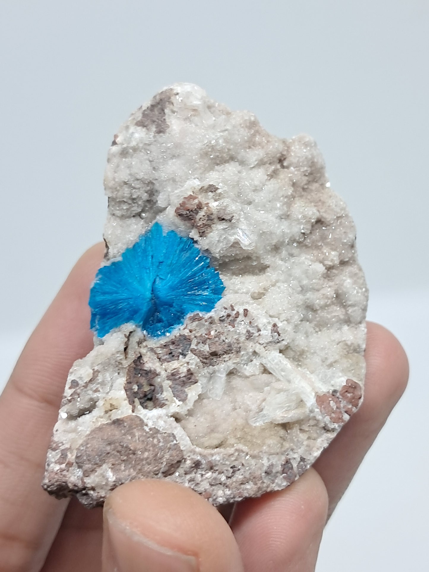 Cavansite on Heulandite Matrix (Wagholi) Rough Stone | Natural Crystal | Rare Mineral Specimen #CV31