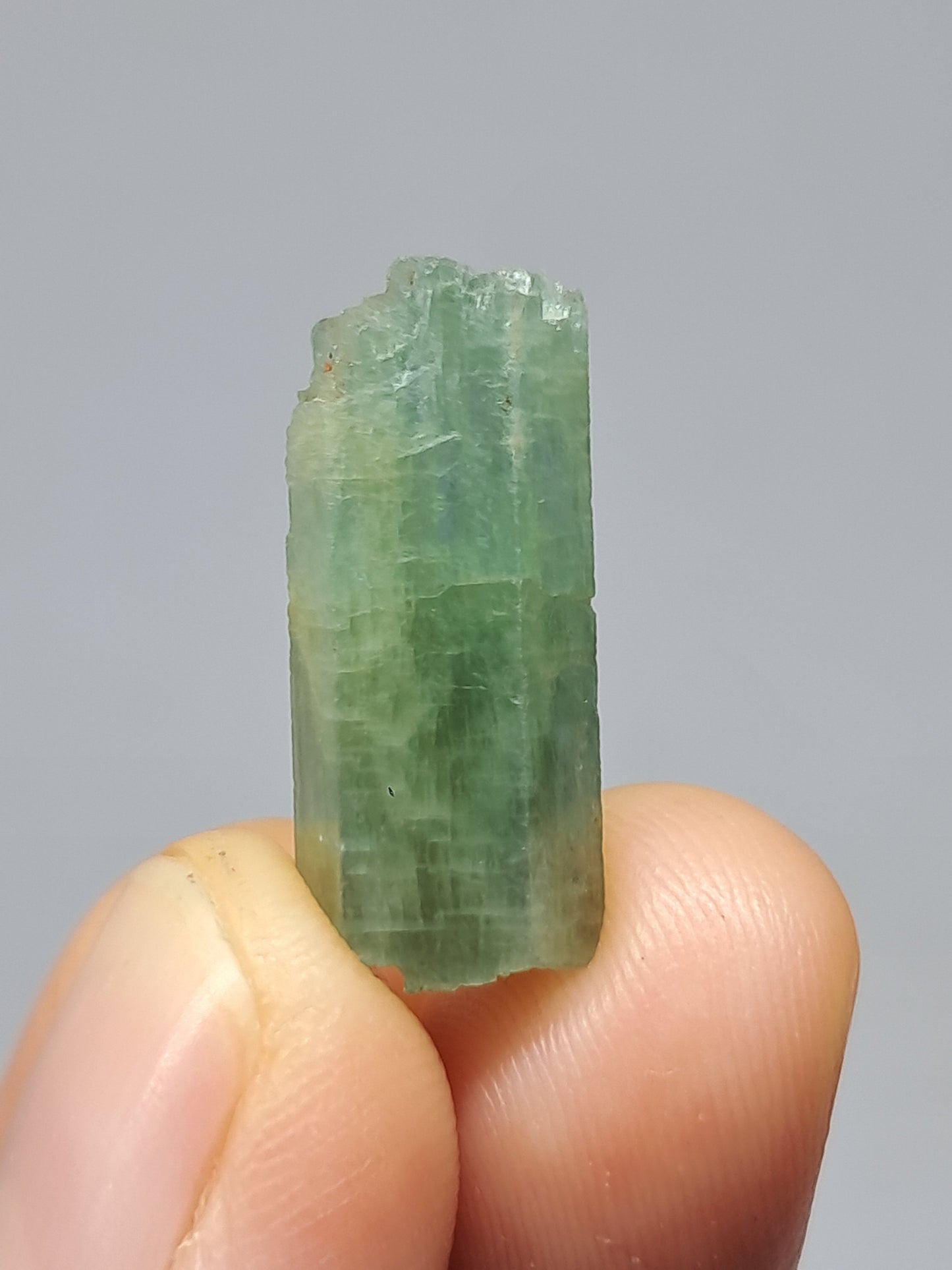 Aguamarina (Karur) Cristal hexagonal en bruto | Ejemplar mineral n.° AQM23