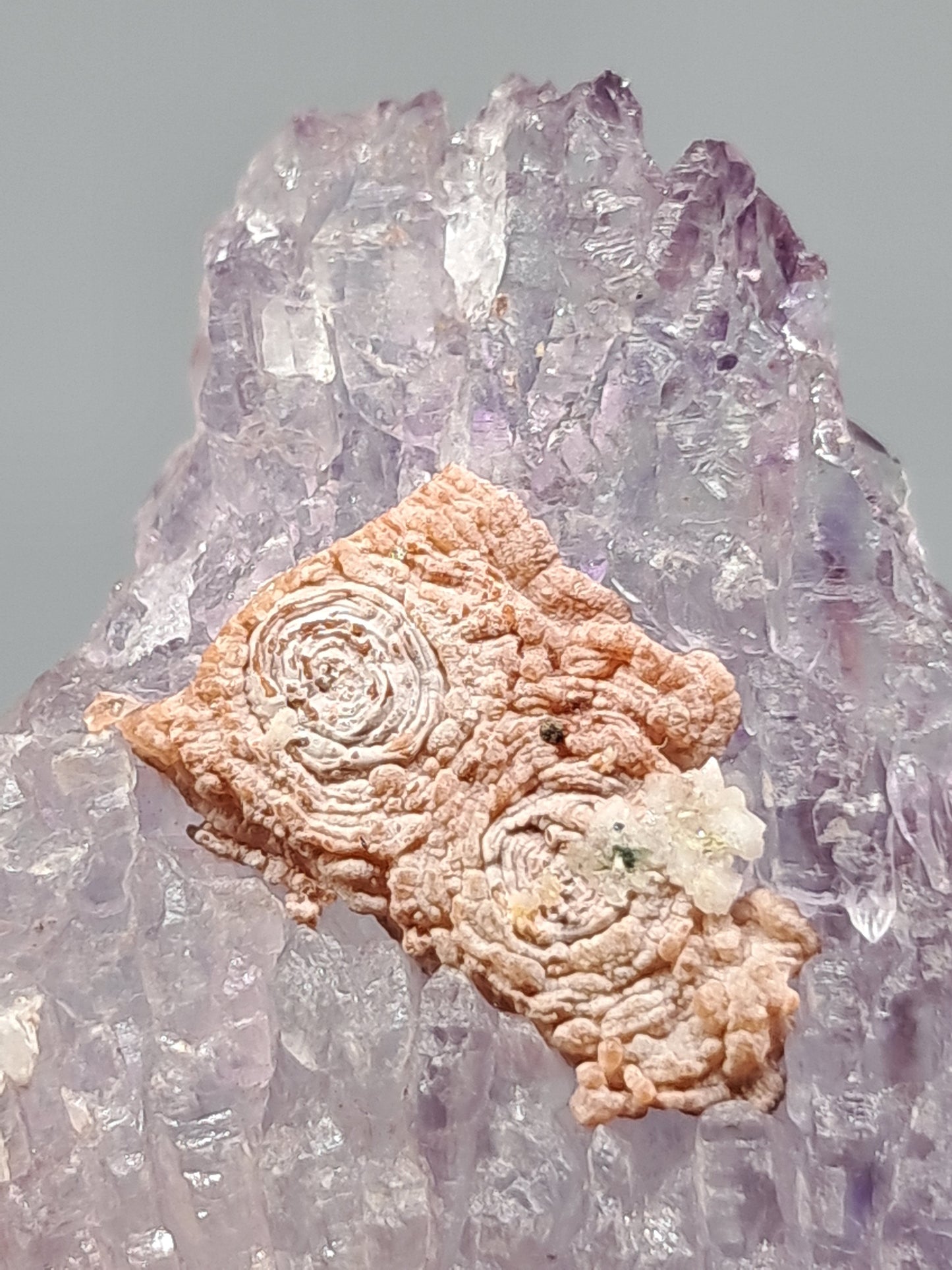 Amethyst Scepter Cluster w/ Goethite (Karur) Crystal Quartz Point | Natural Stone | Mineral Specimen #KA68