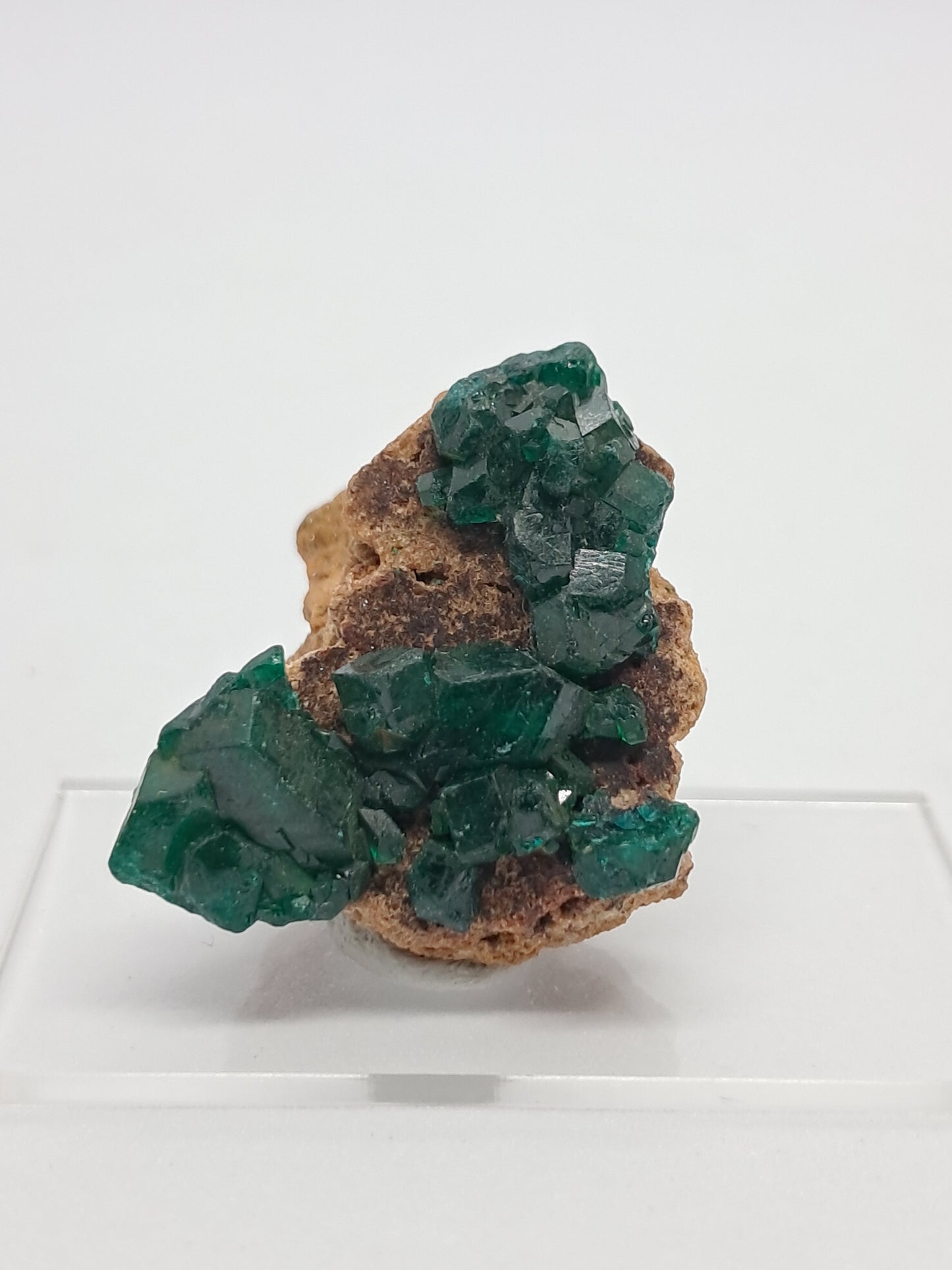 Dioptase on Matrix (Democratic Republic of Congo) Natural Cluster | Rough Crystal | Mineral Specimen) #DPT8