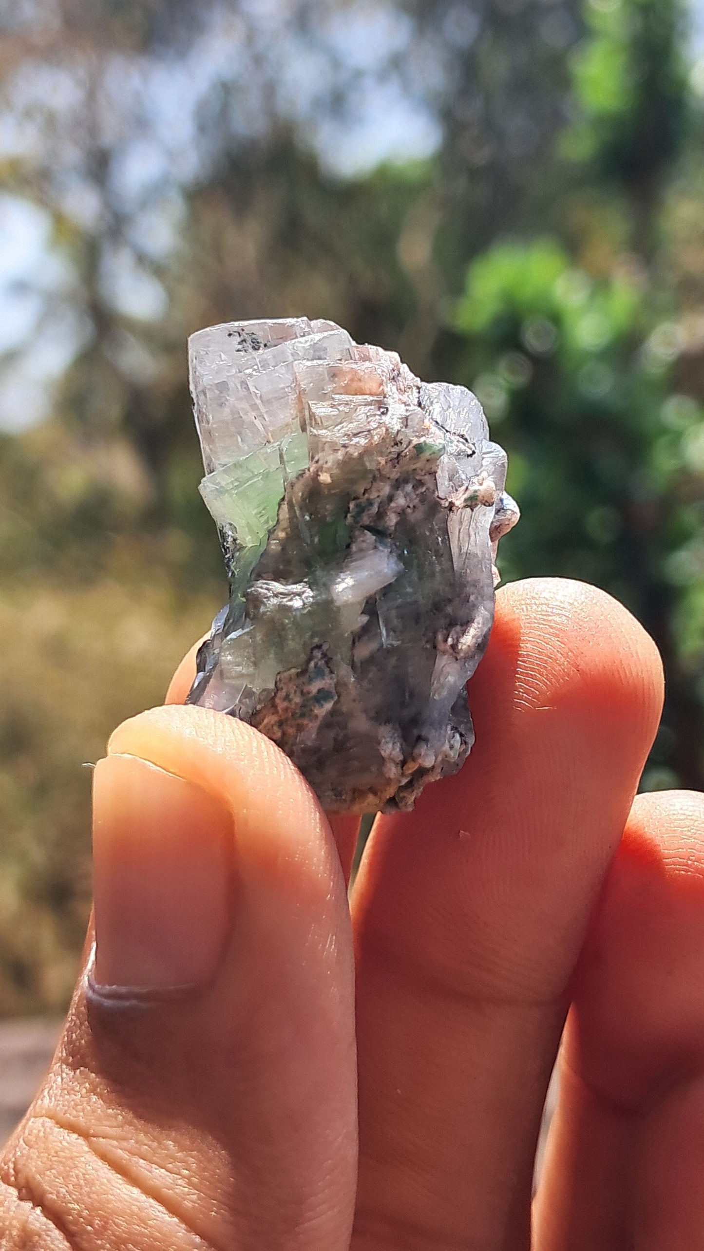 Green Apophyllite (Fluorapophyllite) (Ajanta) Natural Crystal | Mineral Specimen #GA29