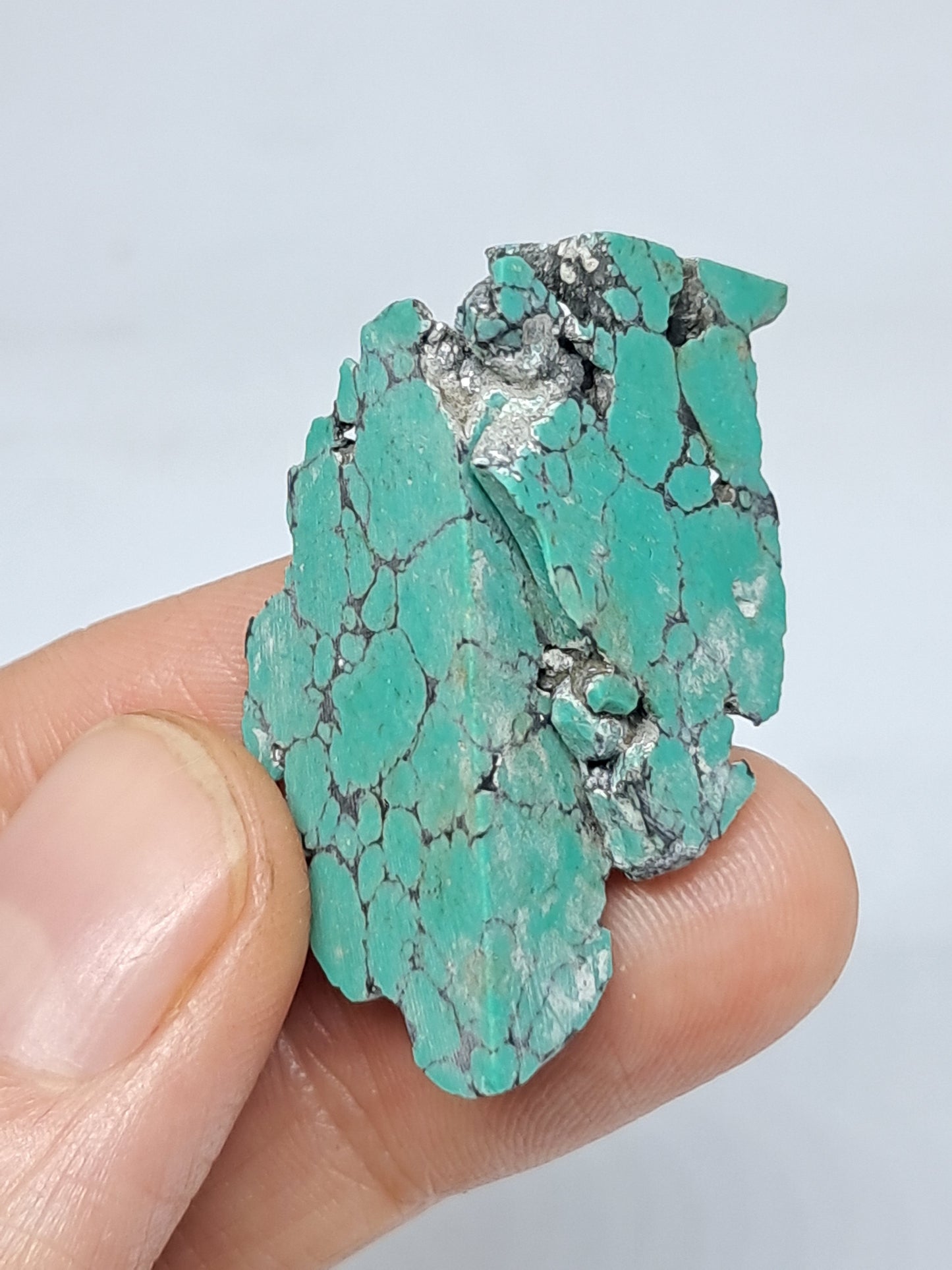 Tibetan Turquoise Stabilized Natural Stone | Mineral Specimen #TT4