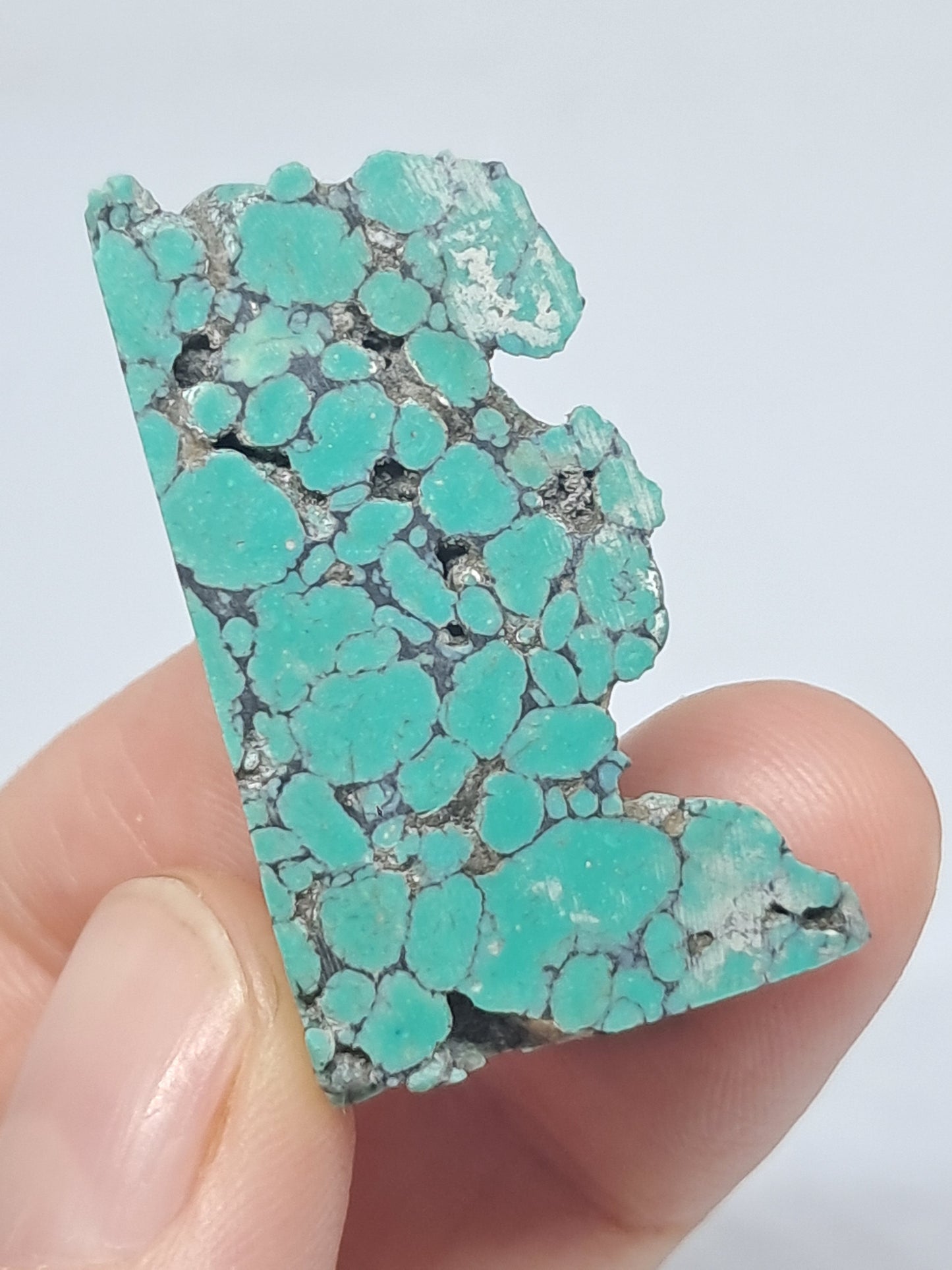 Tibetan Turquoise Stabilized Natural Stone | Mineral Specimen #TT9