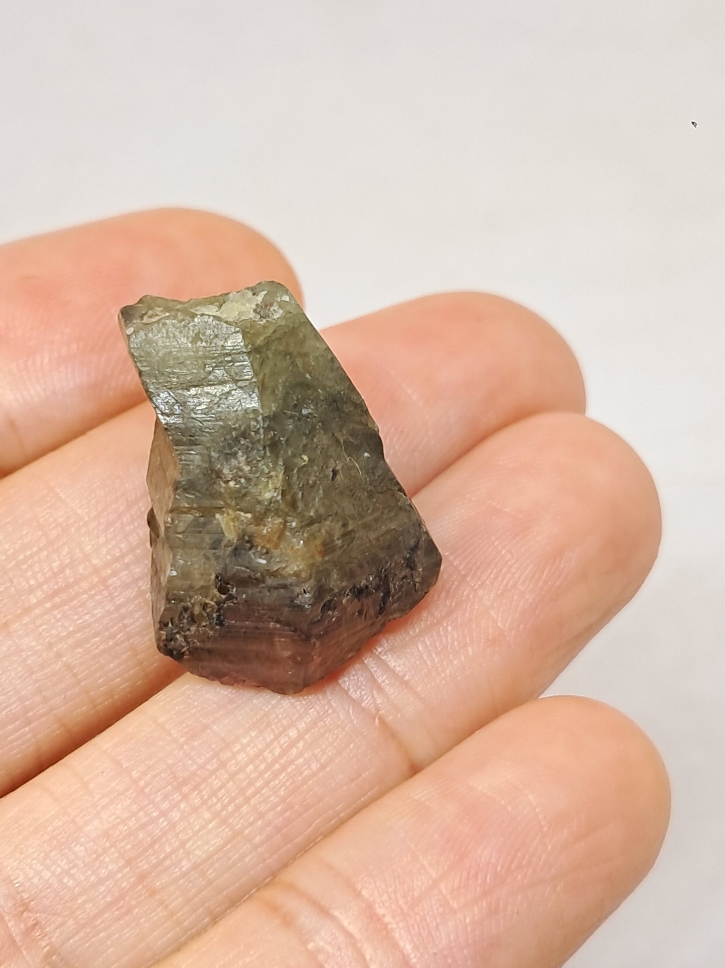Natural Green Pink Sapphire Crystal (Karur) Rough Stone | Bicolor | Mineral Specimen #SP33