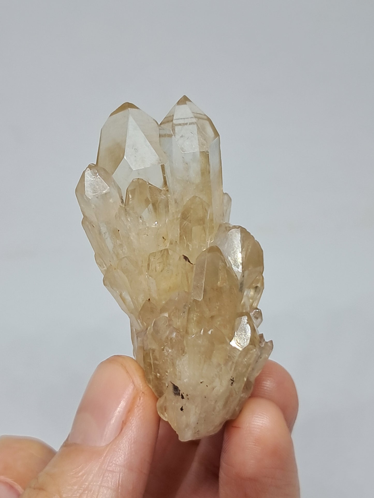 Natural Citrine "Kundalini" (Democratic Republic of Congo) Crystal Point | Mineral Specimen #CTN9