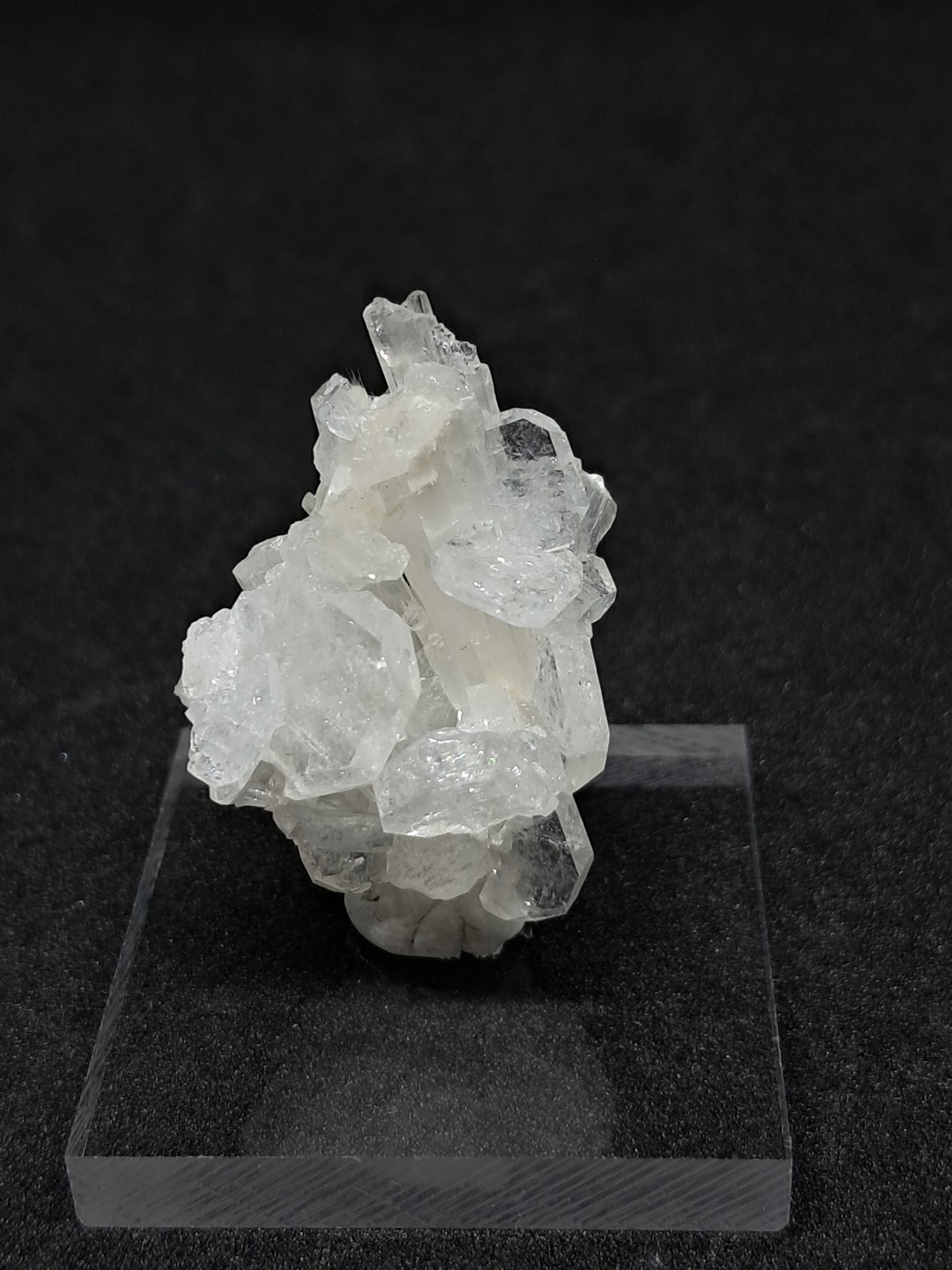 Scolecite w/ Apophyllite Mounted in Box (Ajanta) Natural Crystal | Mineral Specimen #ZL9