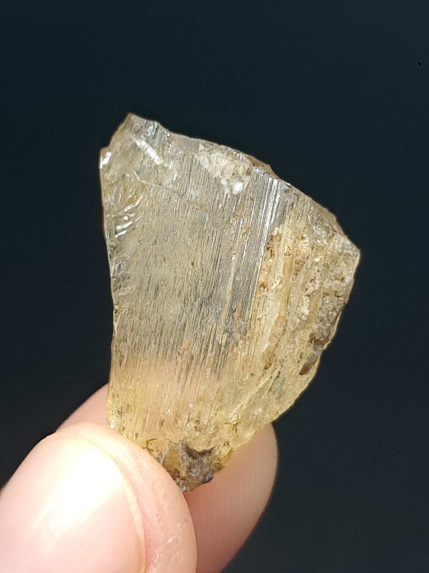 Fluorescent Scapolite Crystal (Karur) UV Reactive | Rough Stone | Natural Mineral Specimen #SCP18
