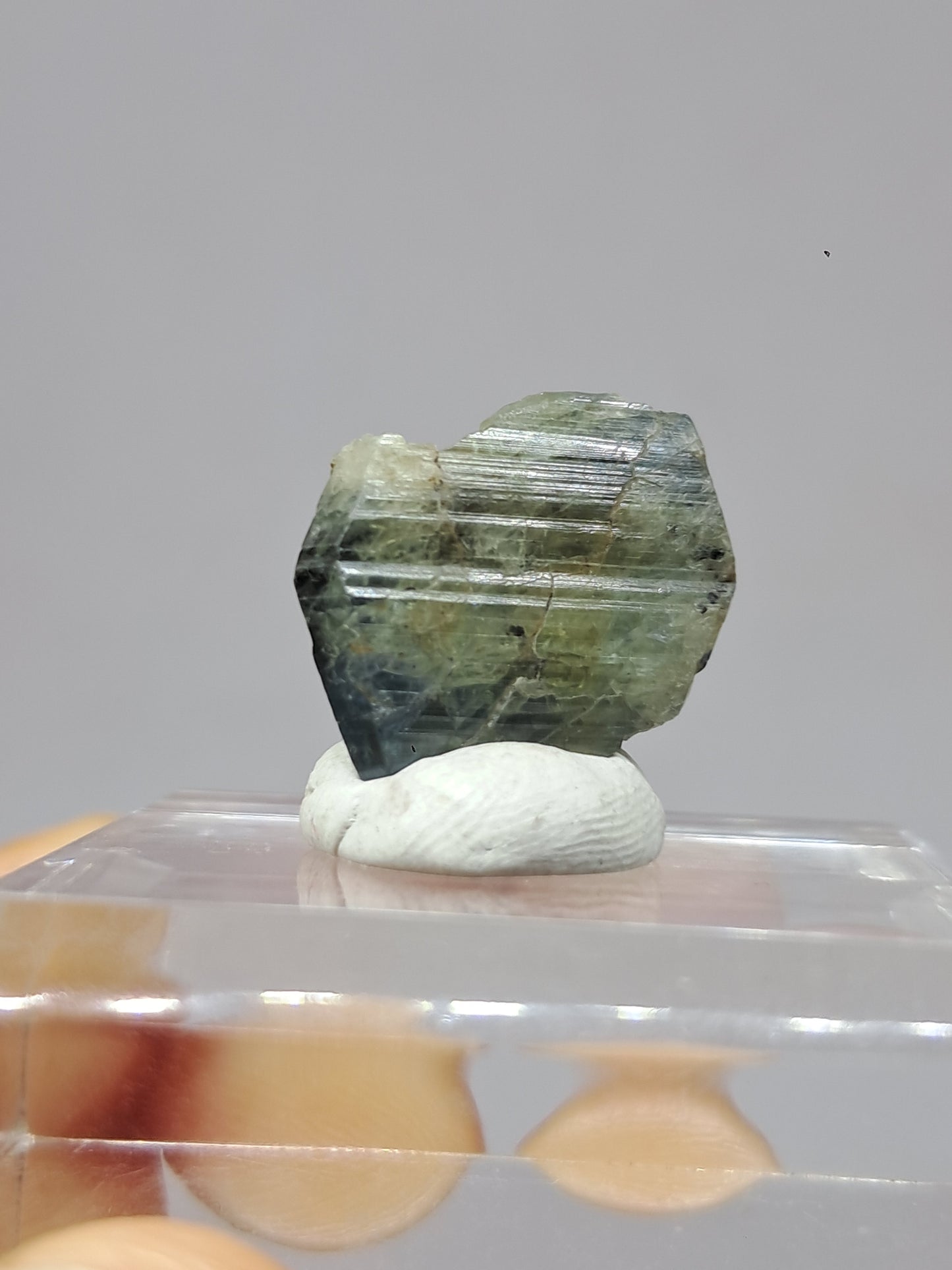 Natural Green Blue Sapphire Crystal (Karur) Rough Stone | Bicolor | Mineral Specimen #SP37