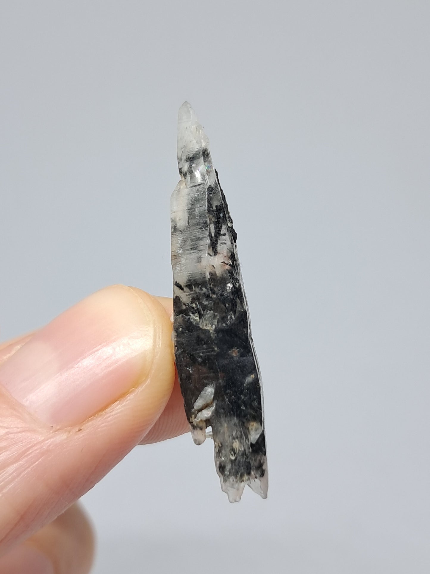 Tourmalinated Quartz Biterminated Crystal (Non-precious stone) #TQ24