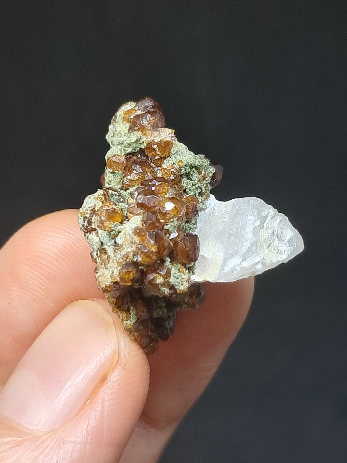 Granate Marrón con Calcita (México) | Cristal en Bruto | Ejemplar Mineral #GR5
