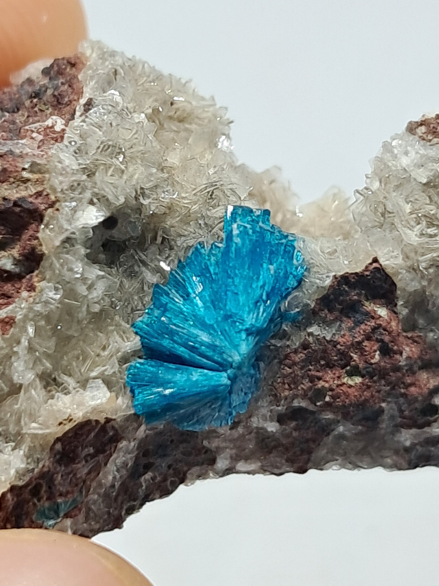 Cavansite on Heulandite Matrix (Wagholi) Rough Stone | Natural Crystal | Rare Mineral Specimen #CV15