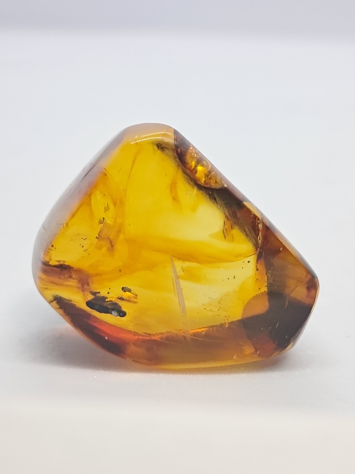 Polished Amber (Mexico) Natural Fossilized Resin | Mineral Specimen #AB3