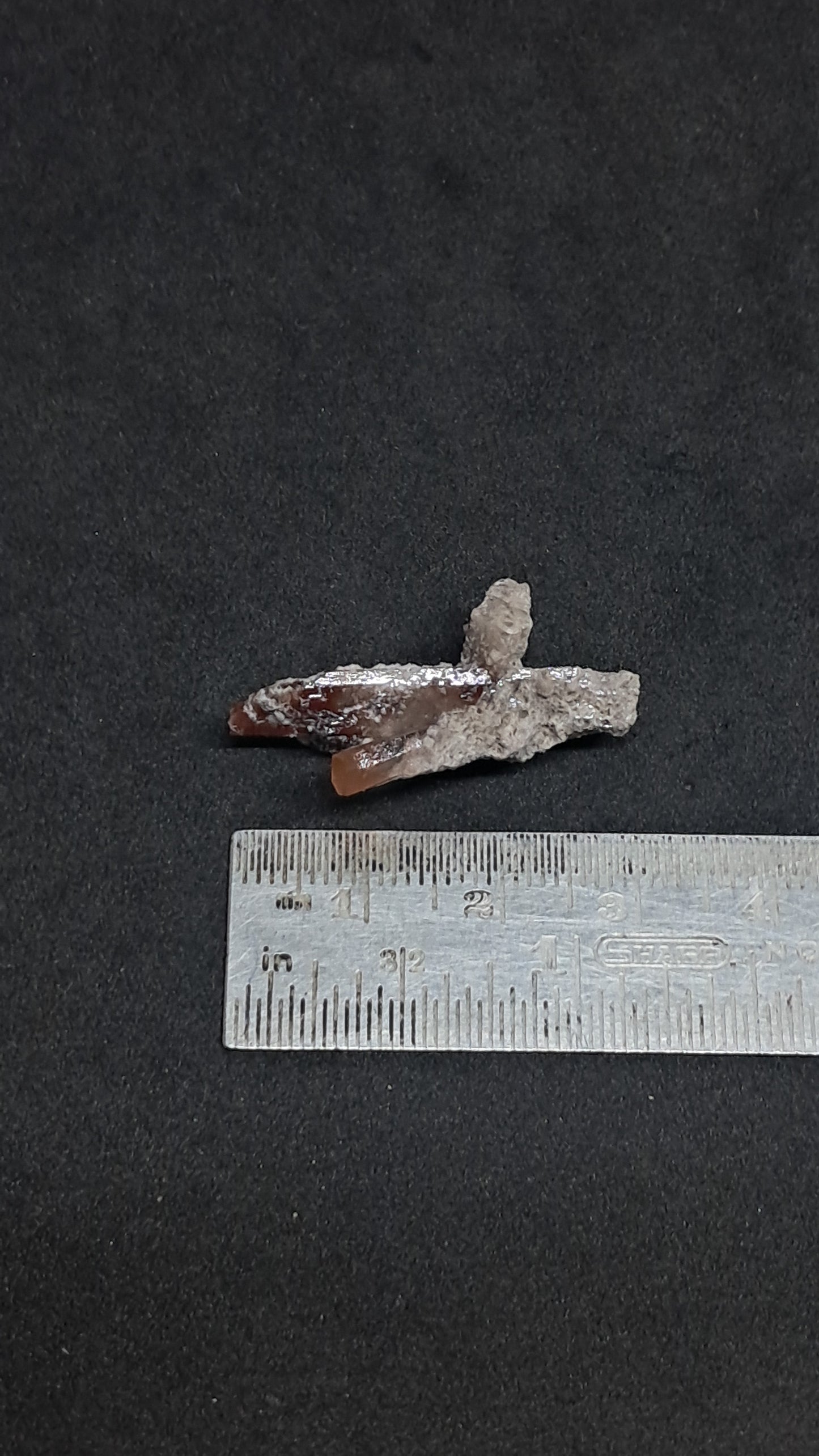 Natural Topaz Crystal (Mexico) Orange Champagne Colour | Rare Gemstone | Mineral Specimen #TPZ41