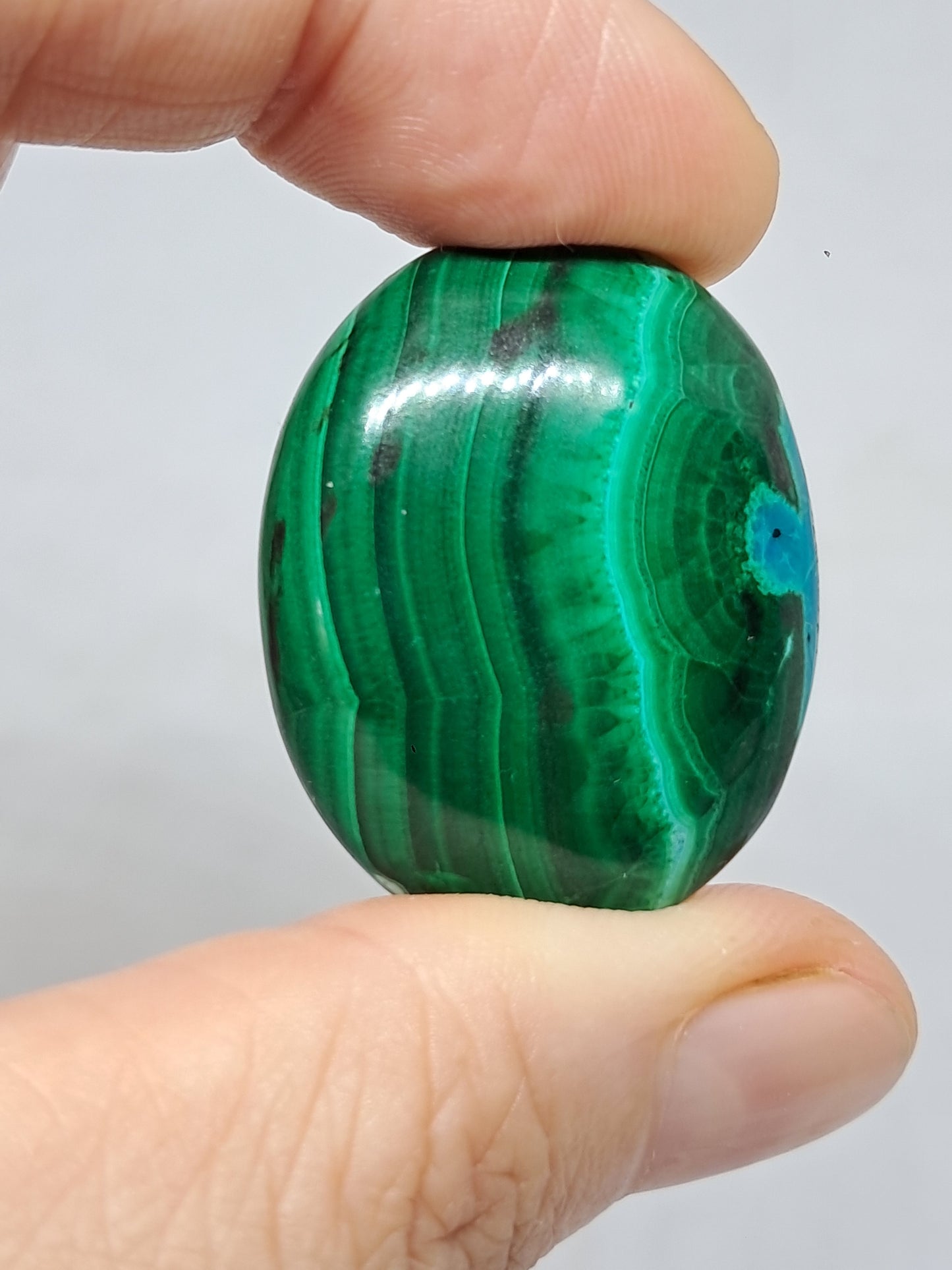 Chrysocolla Malachite Palmstone (Democratic Republic of Congo) Polished Natural Stone