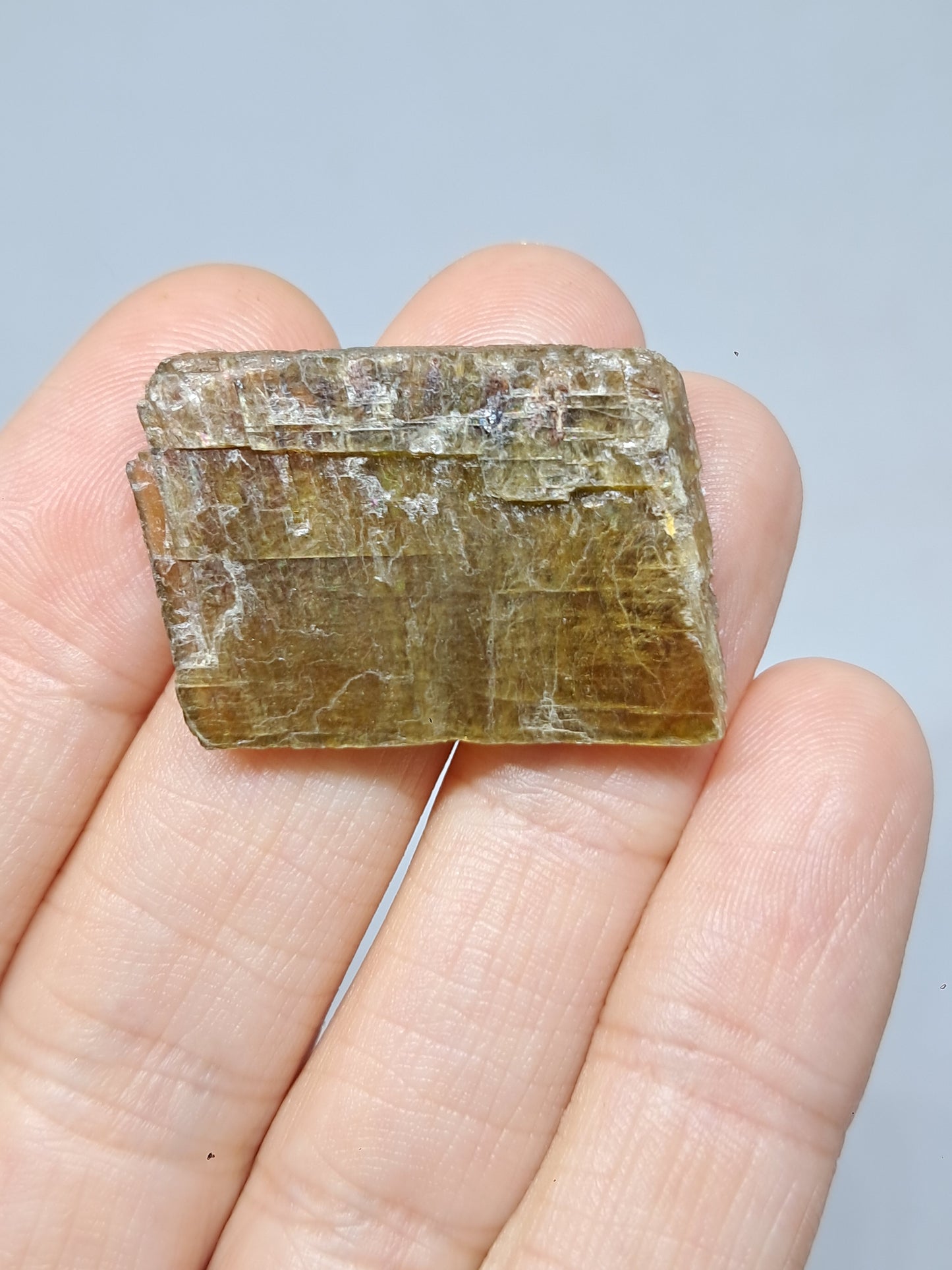 Honey Calcite (India) Rough Crystal | Natural Stone | Mineral Specimen #CA14