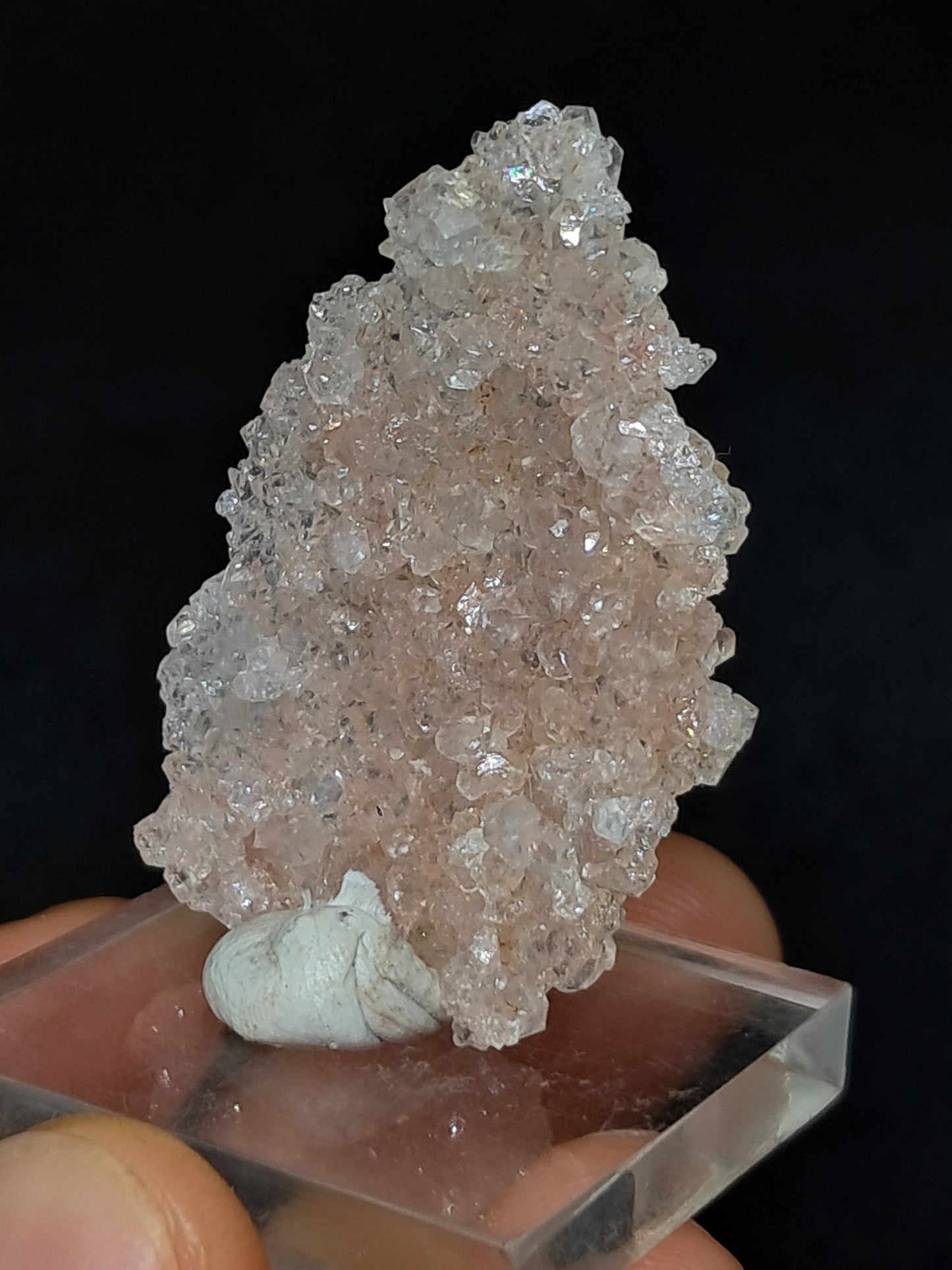 Pink Apophyllite On Quartz Floater Cluster (Ajanta) Natural Crystal | Mineral Specimen #APP1