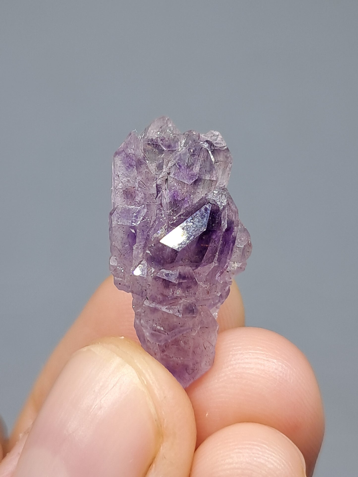Set of 3 Elestial Amethyst from Karur w/ "Super Seven" Inclusions | Natural Crystals | Mineral Specimen #KA168