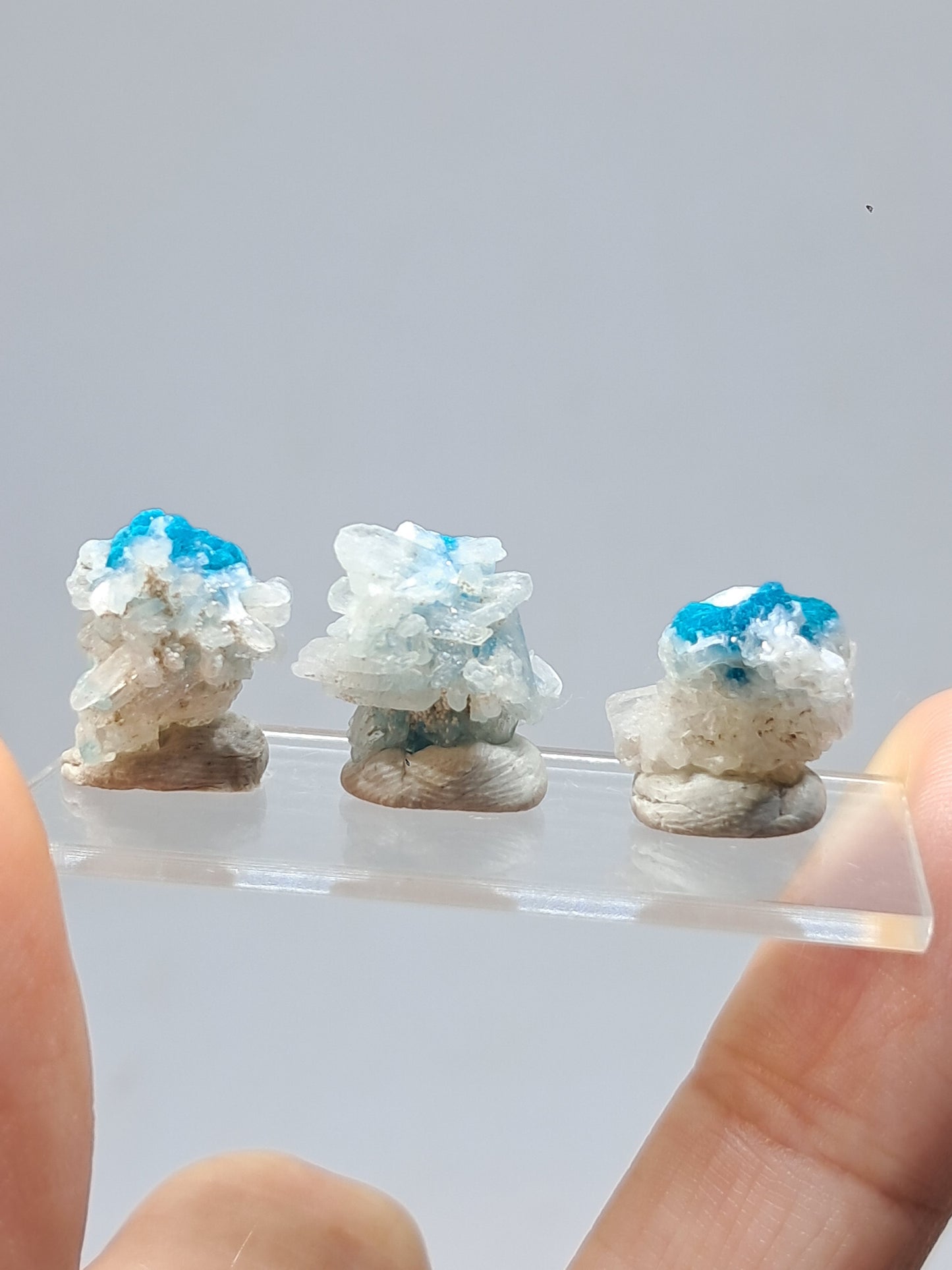 Set of 3 Small Cavansites on Stilbite Matrix (Wagholi) Rough Stone | Natural Crystal | Rare Mineral Specimen #CV39