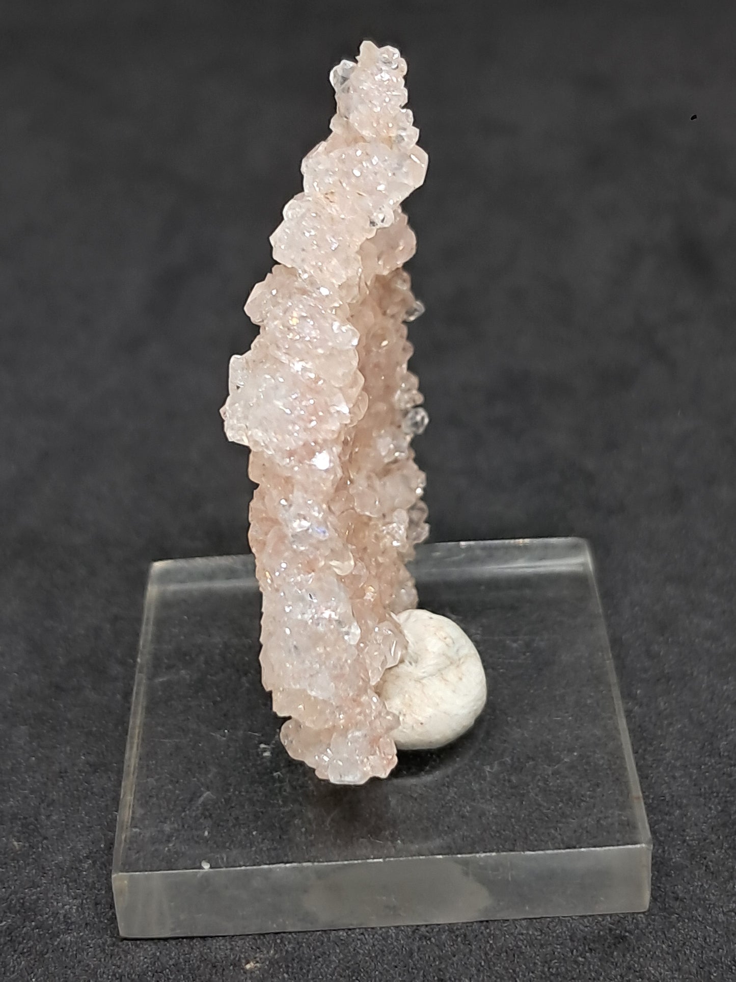 Pink Apophyllite On Quartz Floater Cluster (Ajanta) Natural Crystal | Mineral Specimen #APP1