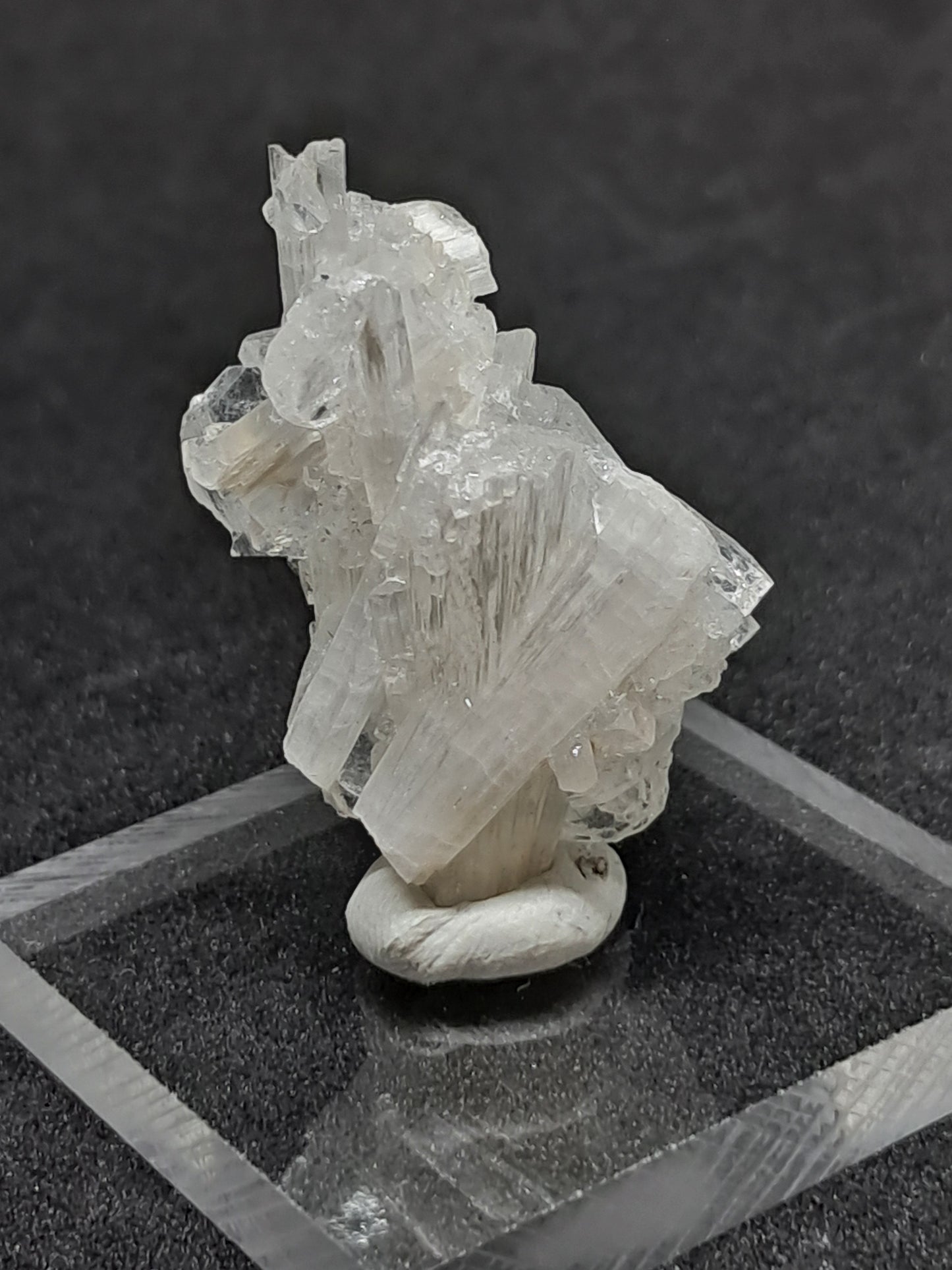 Scolecite w/ Apophyllite Mounted in Box (Ajanta) Natural Crystal | Mineral Specimen #ZL9