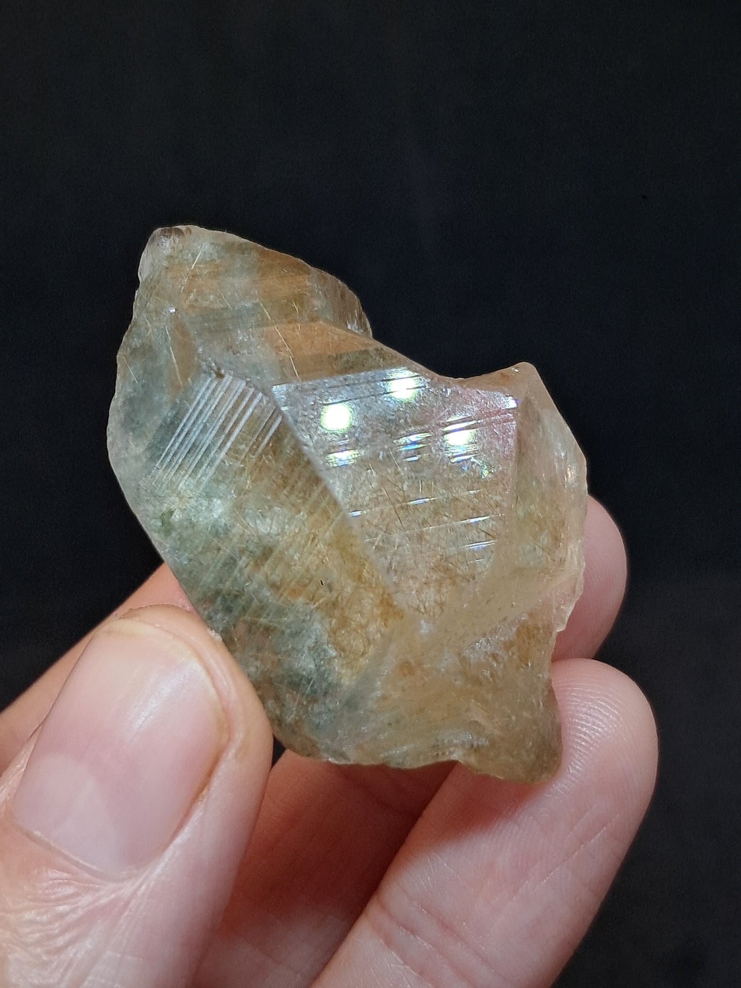 Quartz w/ Chlorite and Golden Rutile Inclusions (Himachal Pradesh) Rough Stone | Natural Crystal | Mineral Specimen #CH40