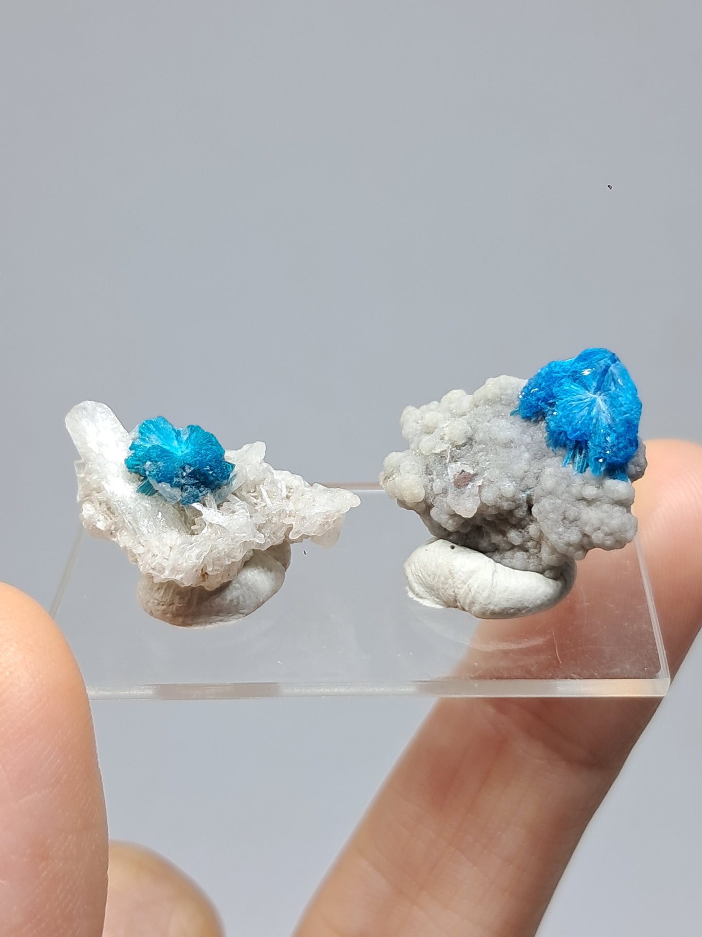 Set of Cavansite & Pentagonite on Matrix (Wagholi) Rough Stone | Natural Crystal | Rare Mineral Specimen #CV41