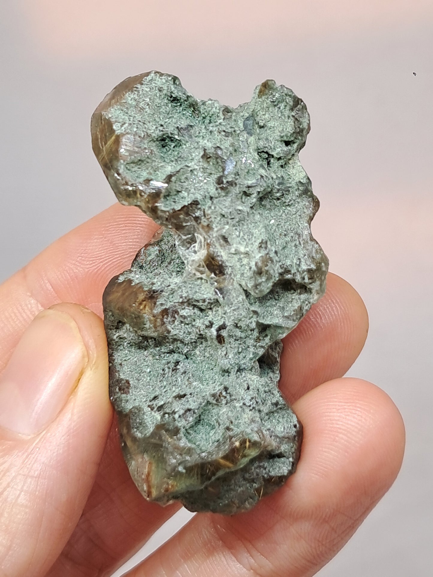 Quartz w/ Chlorite and Golden Rutile Inclusions (Kullu) Rough Stone | Natural Crystal Point | Mineral Specimen #CH43