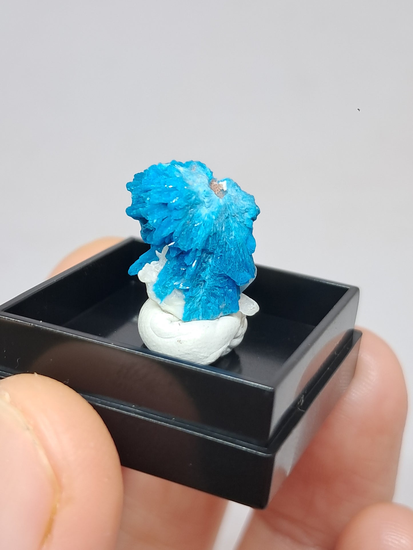 Pentagonite w/ Stilbite (Pune) Rough Stone | Natural Crystal | Rare Mineral Specimen #CV53
