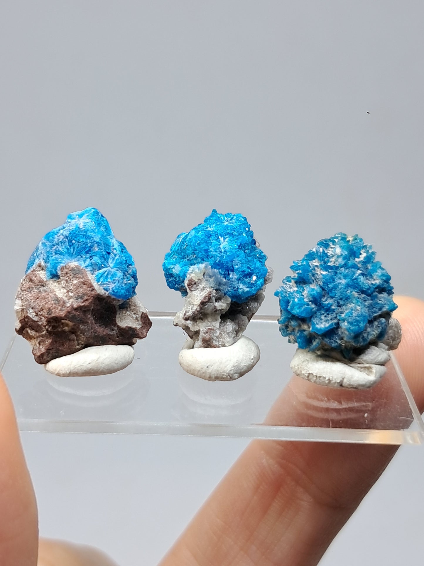 Set of 3 Pentagonites on Matrix (Wagholi) Rough Stone | Natural Crystal | Rare Mineral Specimen #CV43