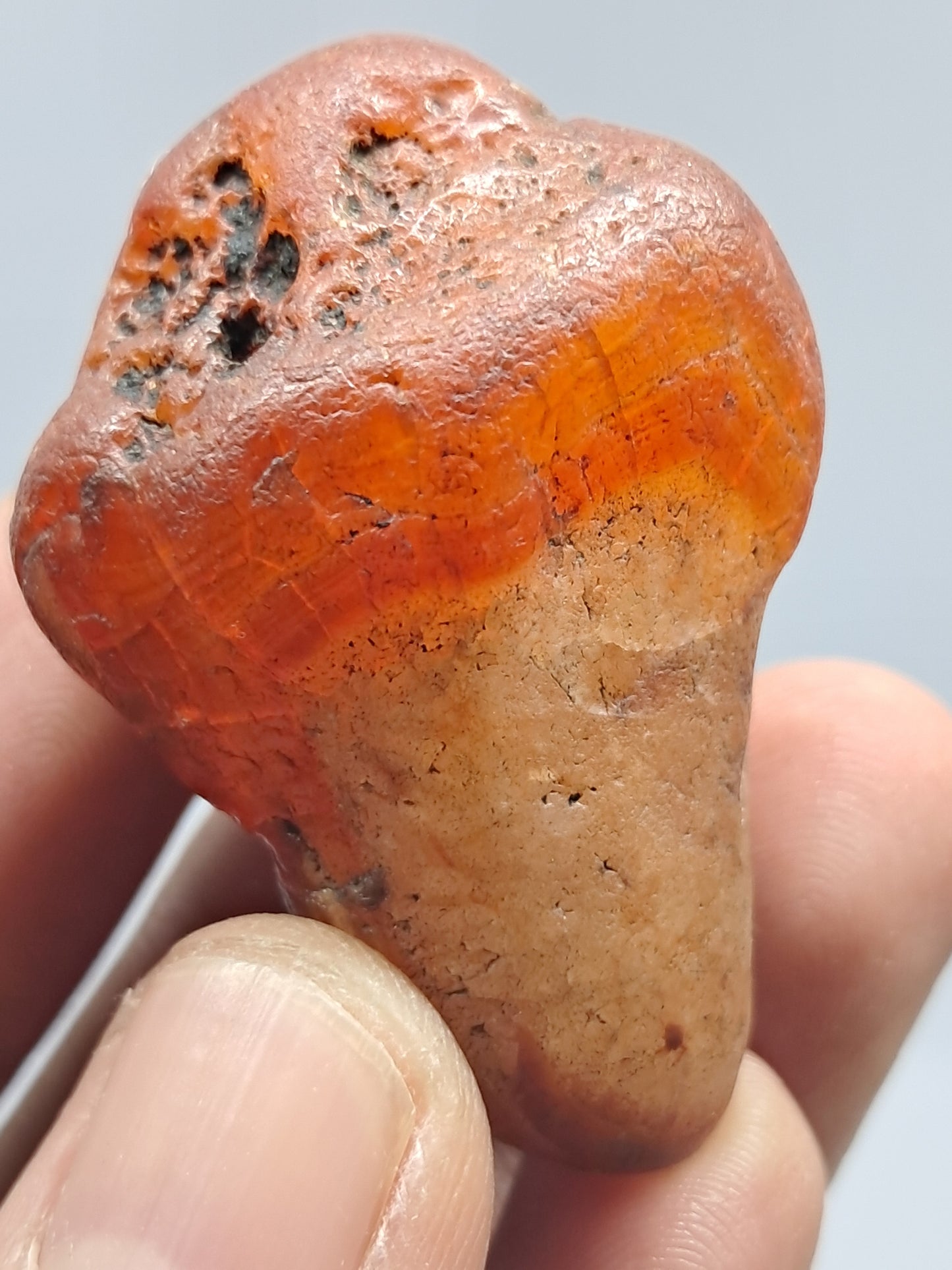 Rough Carnelian (India) Raw Stone | Natural Crystal | Mineral Specimen #CRN7