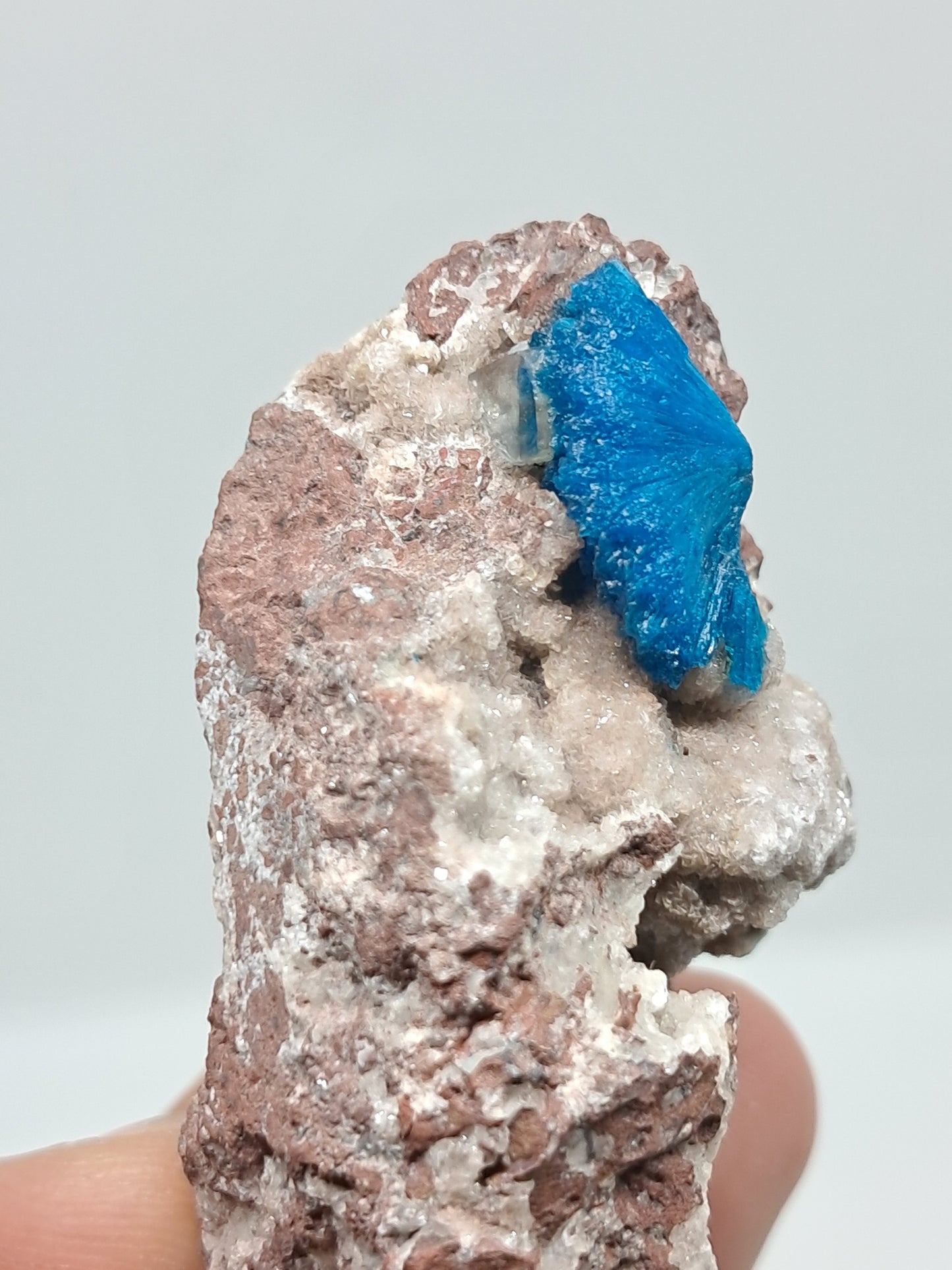 Cavansite and UV Reactive Calcite on Heulandite Matrix (Wagholi) Rough Stone | Natural Crystal | Rare Mineral Specimen #CV30