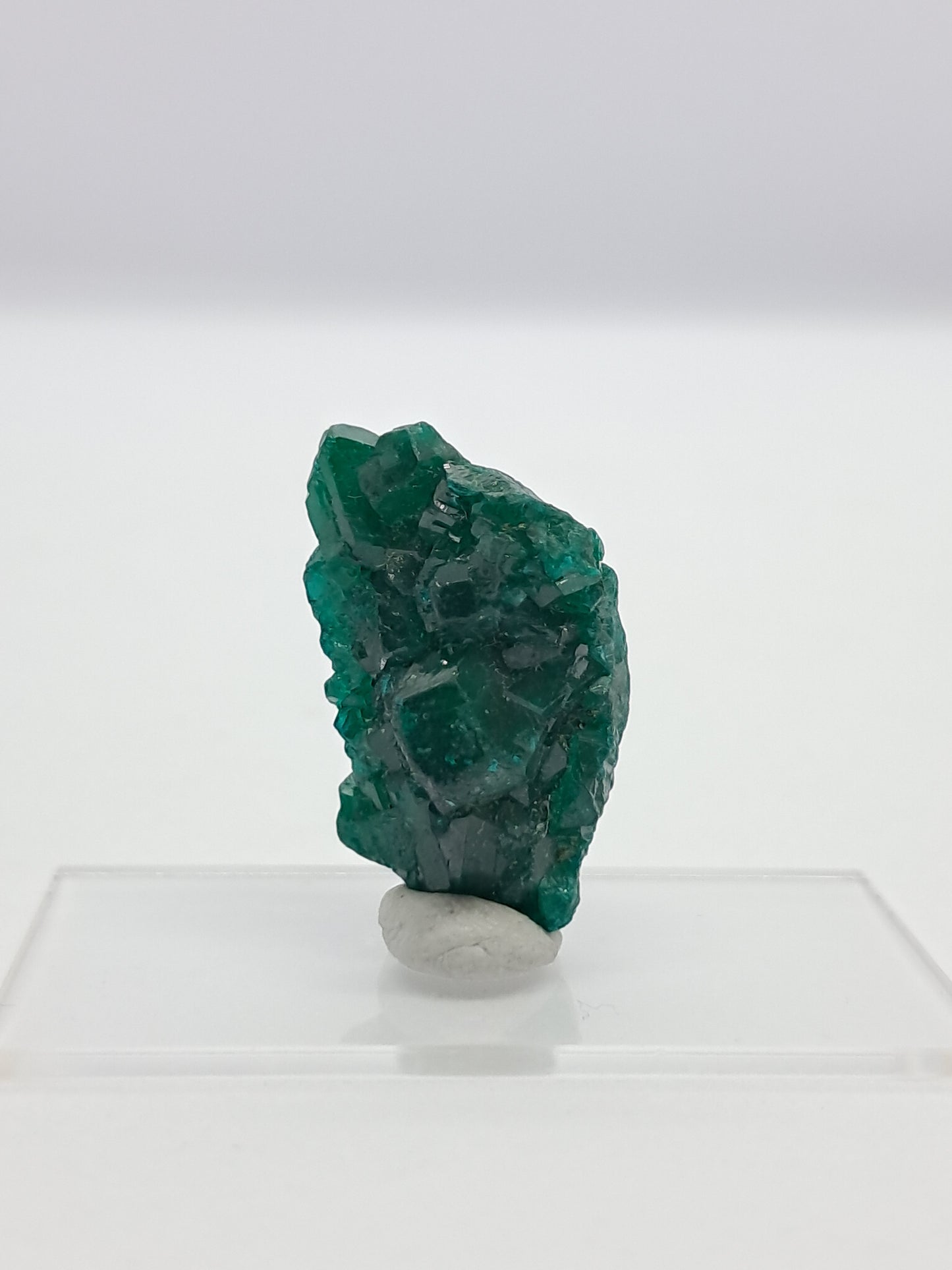 Dioptase (DRC) Natural Cluster | Rough Crystal | Mineral Specimen #DPT6