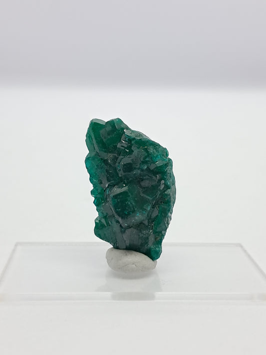 Dioptase (DRC) Natural Cluster | Rough Crystal | Mineral Specimen #DPT6