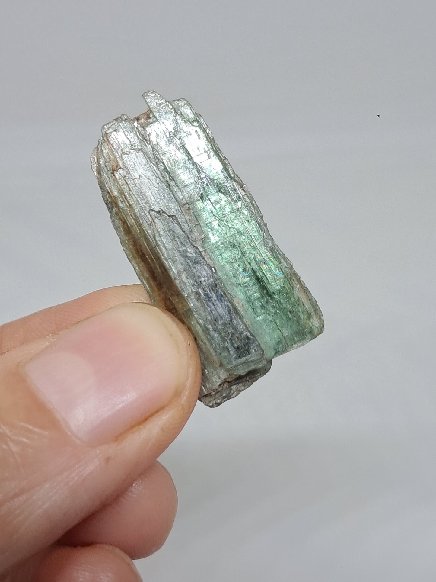 Green Kyanite (Tamil Nadu) Natural Crystal #KY8