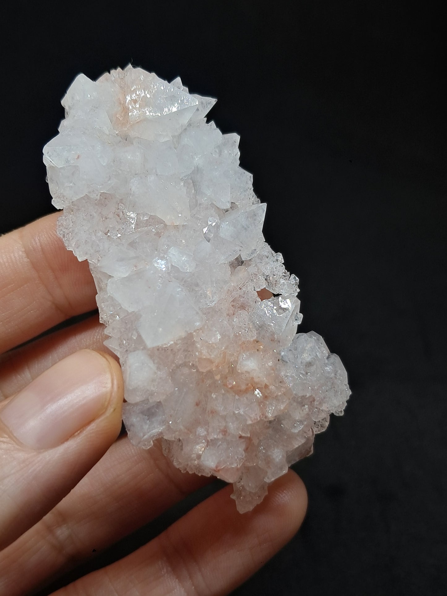 Octahedral Apophyllite Floater Cluster w/ Hematite (Ajanta) Natural Crystal | Mineral Specimen #AP33