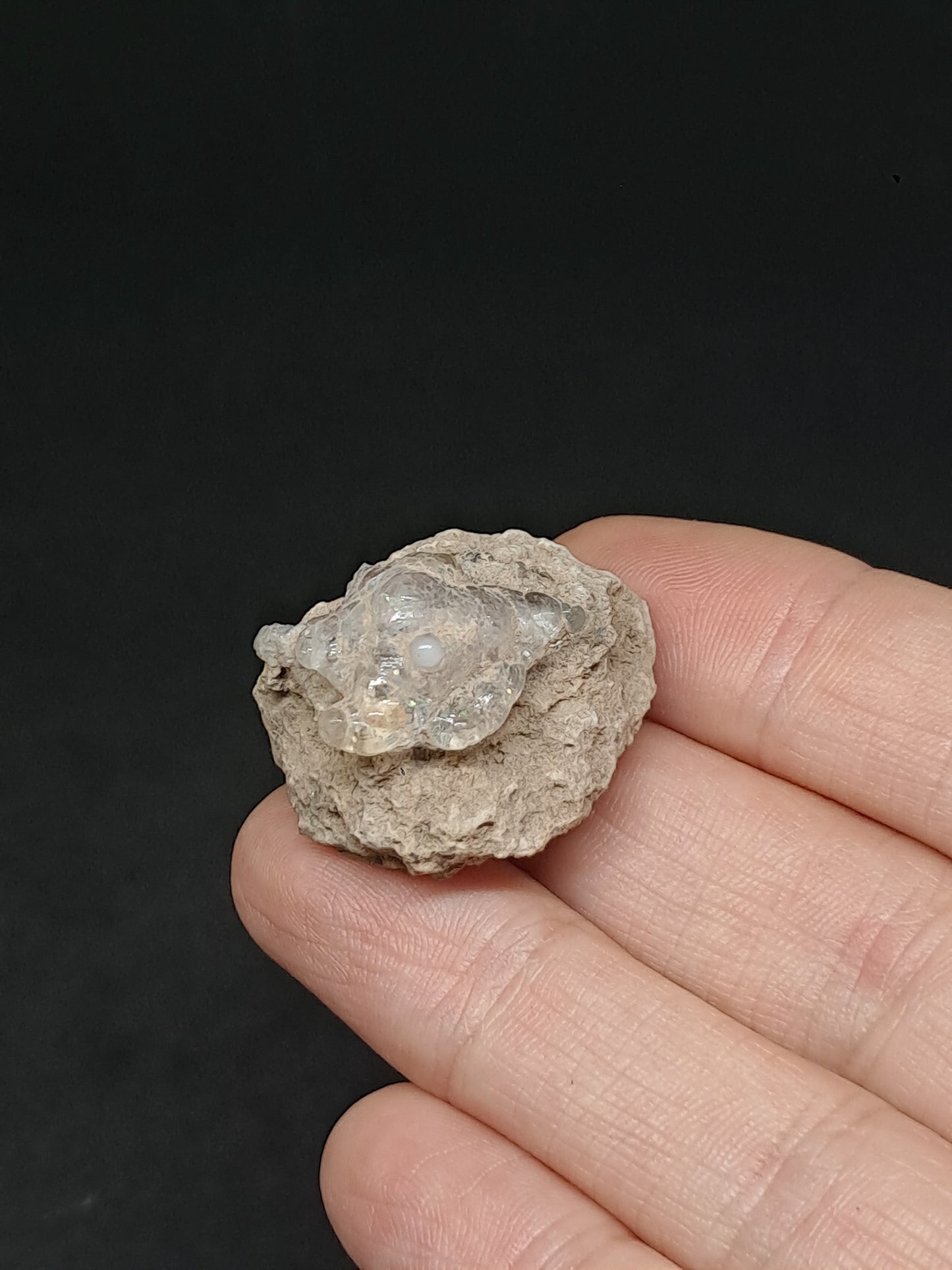 Hyalite Opal on Matrix (Mexico) Rough Crystal Stone | UV-Reactive Mineral Specimen #OH10