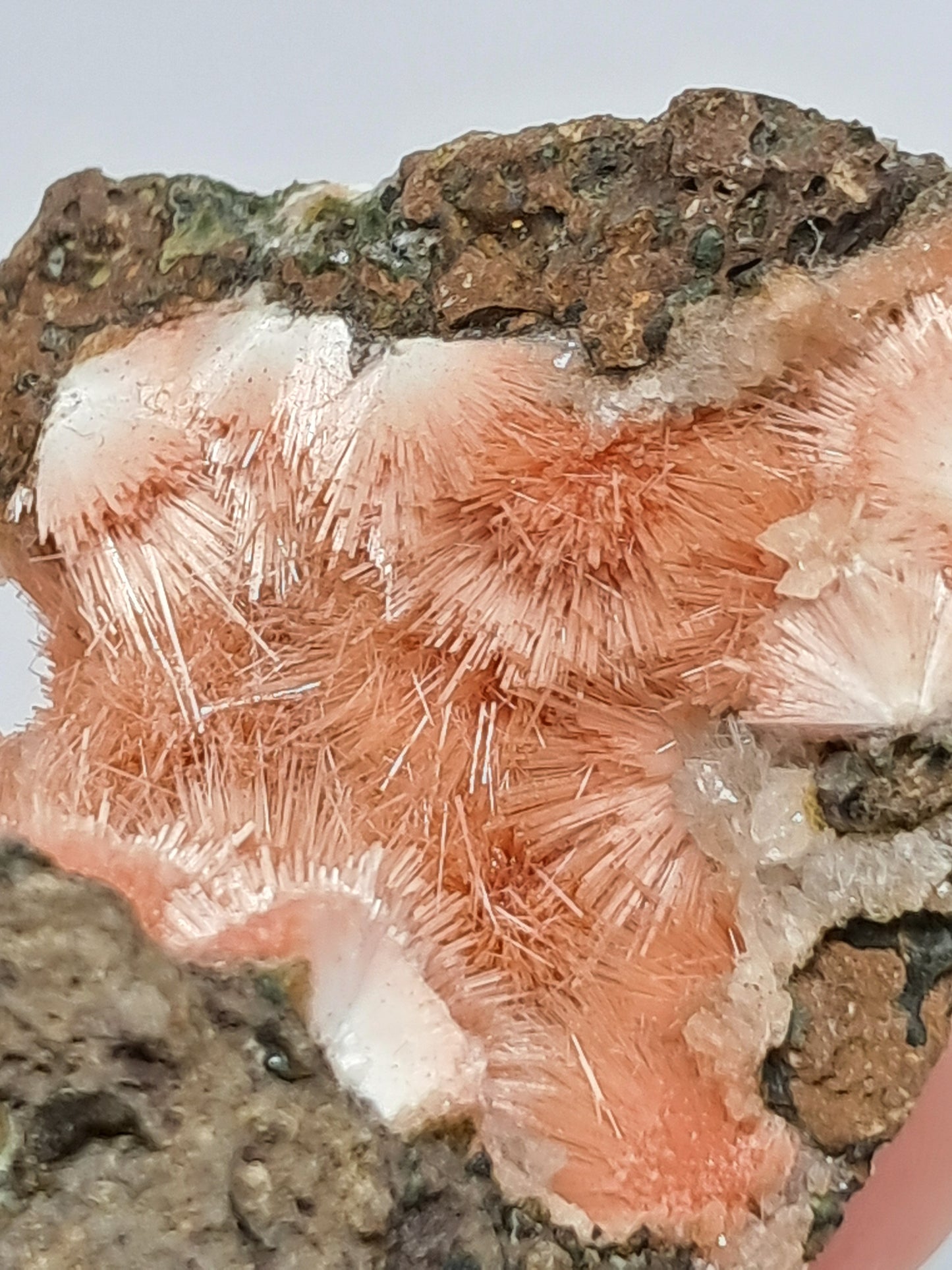 Mesolite w/ Hematite Inclusion (Madhya Pradesh) Natural Crystal| Mineral Specimen #MS2