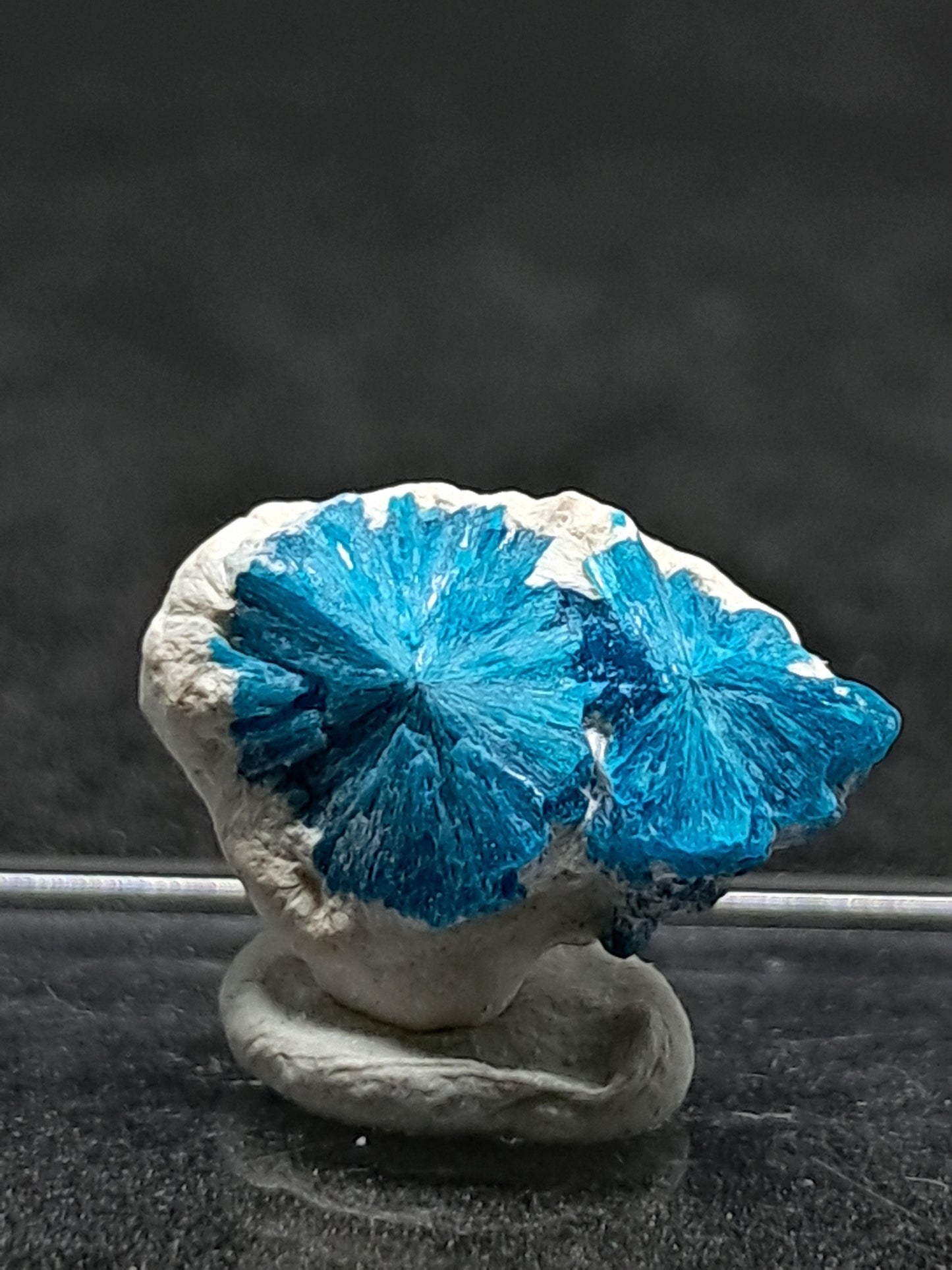 Floater Cavansites in Okenite Matrix (Pune) Rough Stone | Natural Crystal | Rare Mineral Specimen #CV25