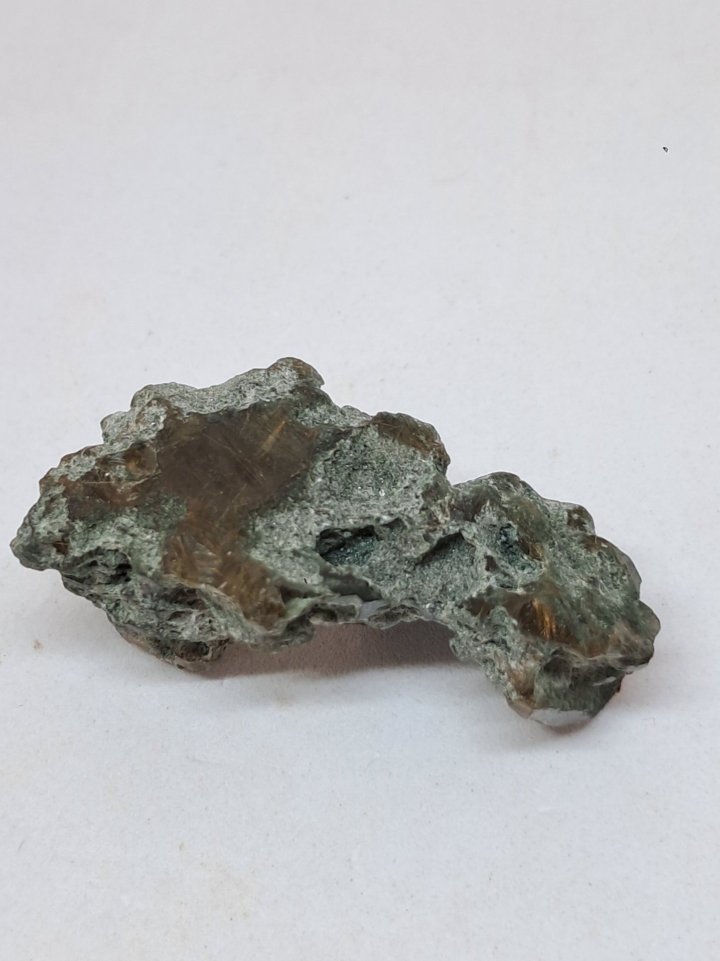 Quartz w/ Chlorite and Golden Rutile Inclusions (Kullu) Rough Stone | Natural Crystal Point | Mineral Specimen #CH43