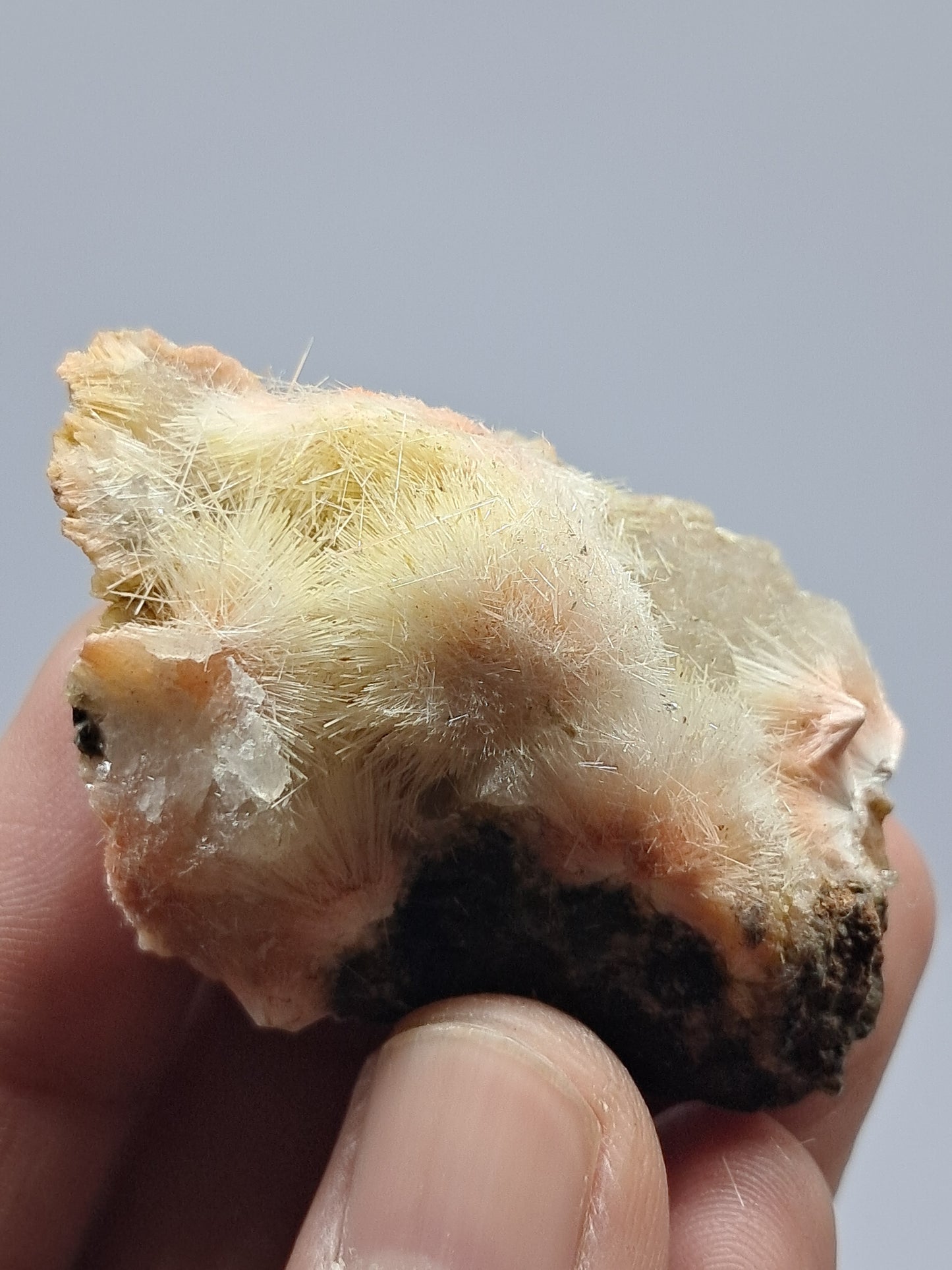 Mesolite w/ Hematite Inclusion (Madhya Pradesh) Natural Crystal| Mineral Specimen #MS19