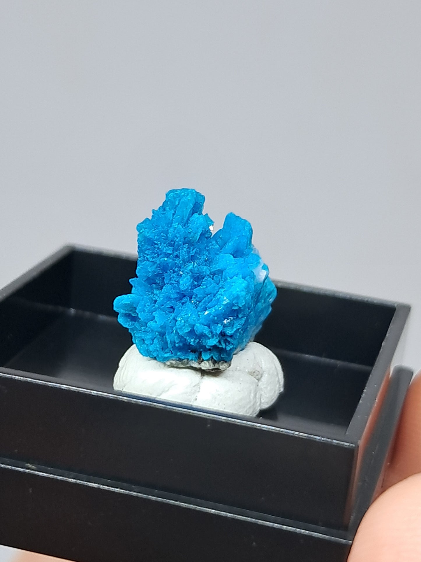 Pentagonite (Wagholi) Rough Stone | Natural Crystal | Rare Mineral Specimen #CV50