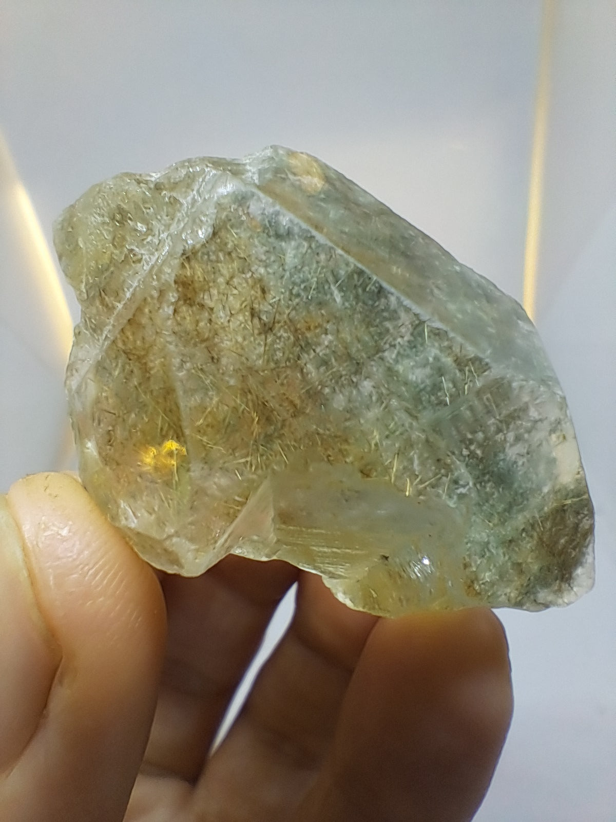 Quartz w/ Chlorite and Golden Rutile Inclusions (Himachal Pradesh) Rough Stone | Natural Crystal | Mineral Specimen #CH40