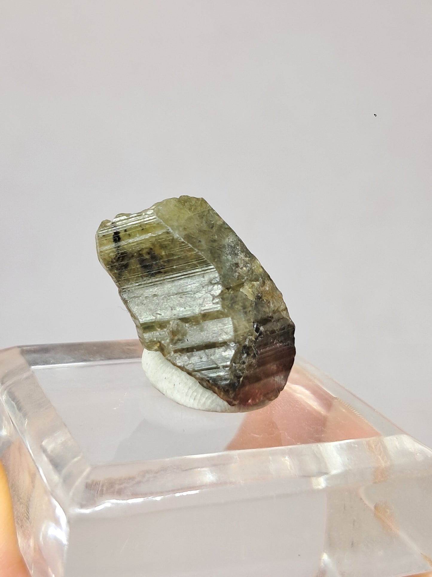 Natural Green Pink Sapphire Crystal (Karur) Rough Stone | Bicolor | Mineral Specimen #SP33