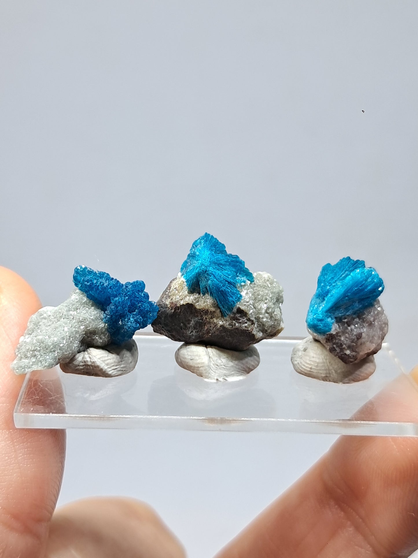 Set of 3 Small Cavansites on Heulandite Matrix (Wagholi) Rough Stone | Natural Crystal | Rare Mineral Specimen #CV38