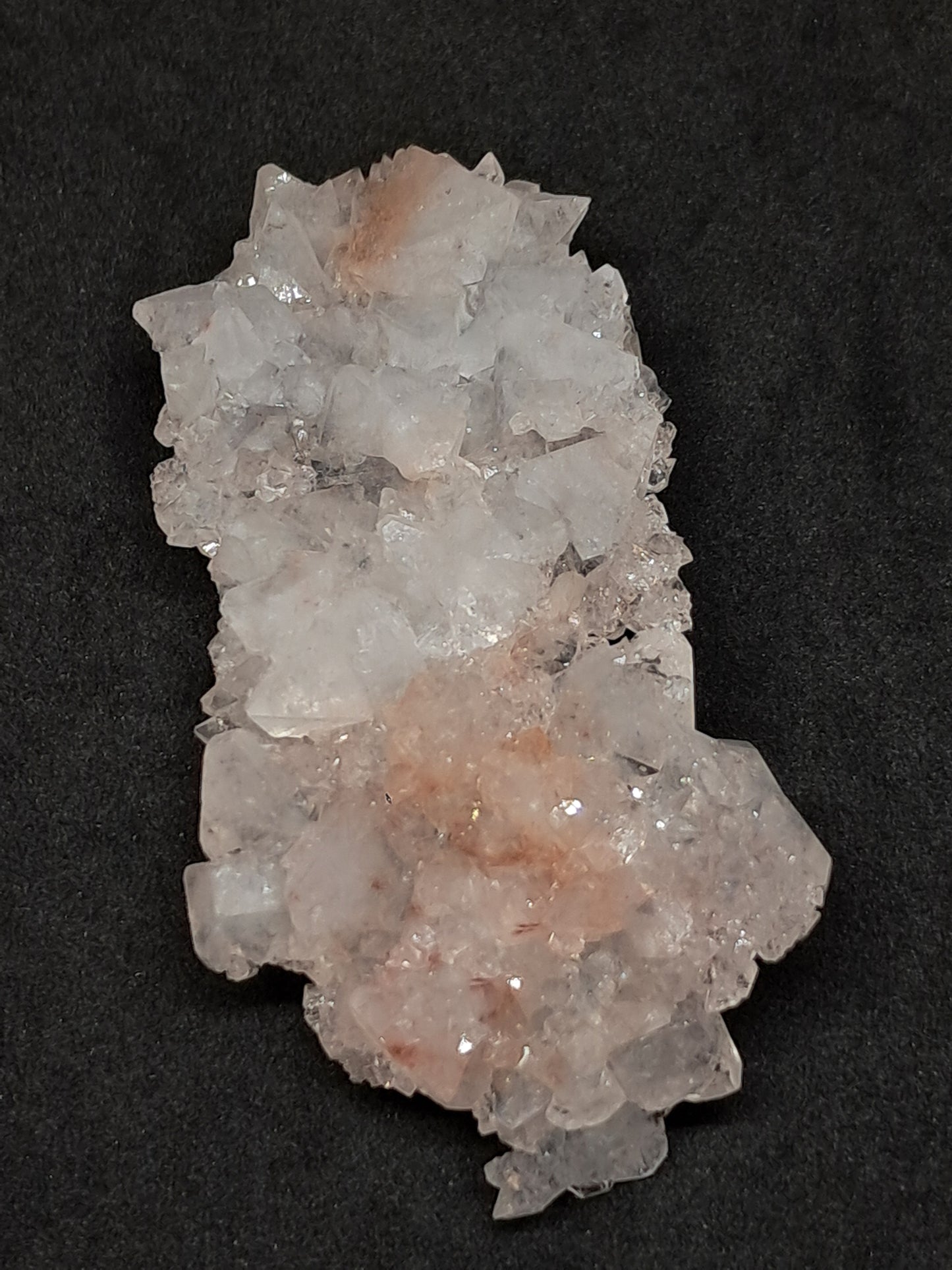 Octahedral Apophyllite Floater Cluster w/ Hematite (Ajanta) Natural Crystal | Mineral Specimen #AP33